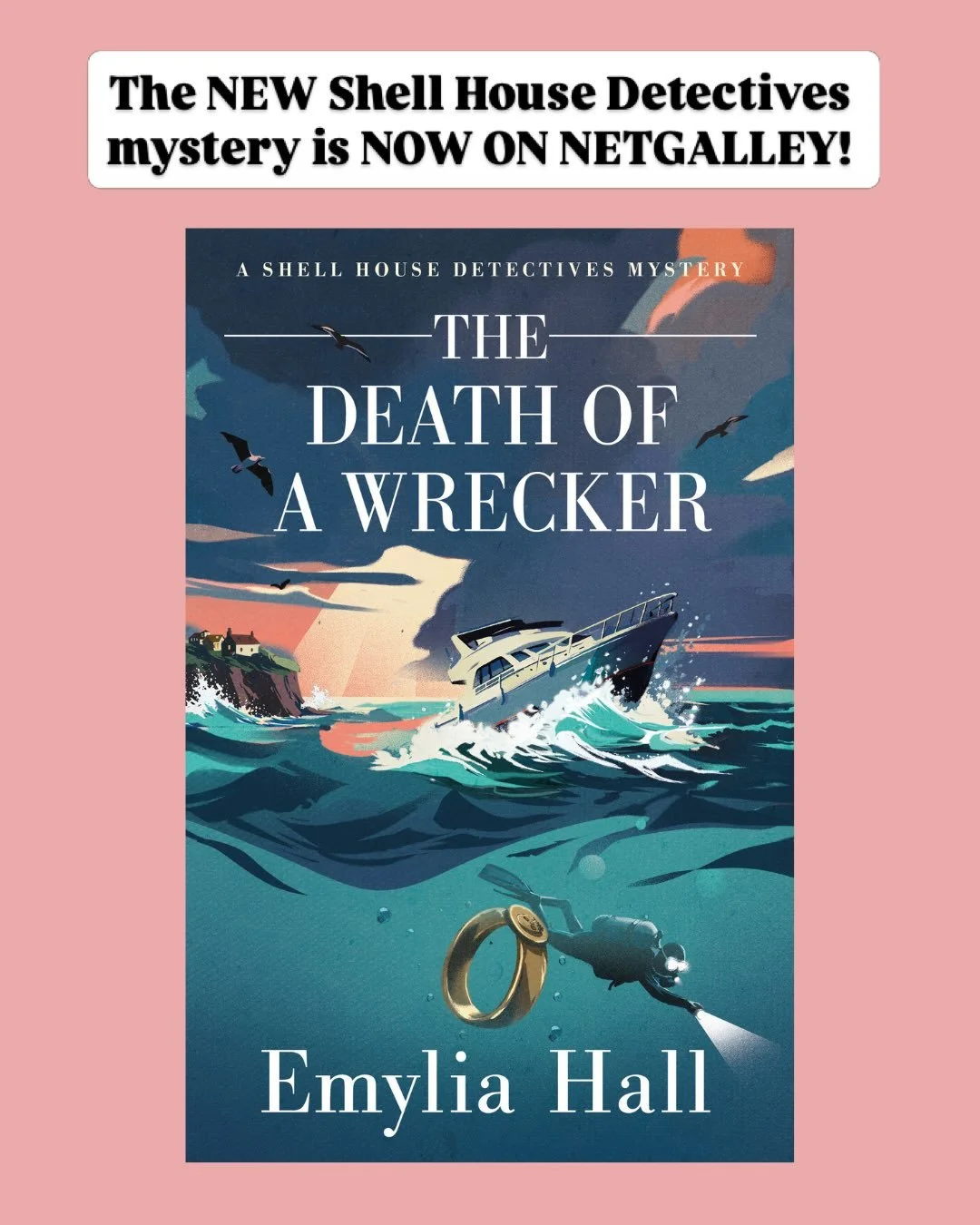 Calling all early readers, bloggers, bookstagrammers! 📣 THE DEATH OF A WRECKER &ndash; the 8th Shell House Detectives mystery (out in November) &ndash; is now available to request on @netgalley 🩵🐚 Early reviews are always so welcomed 😊 

#netgall