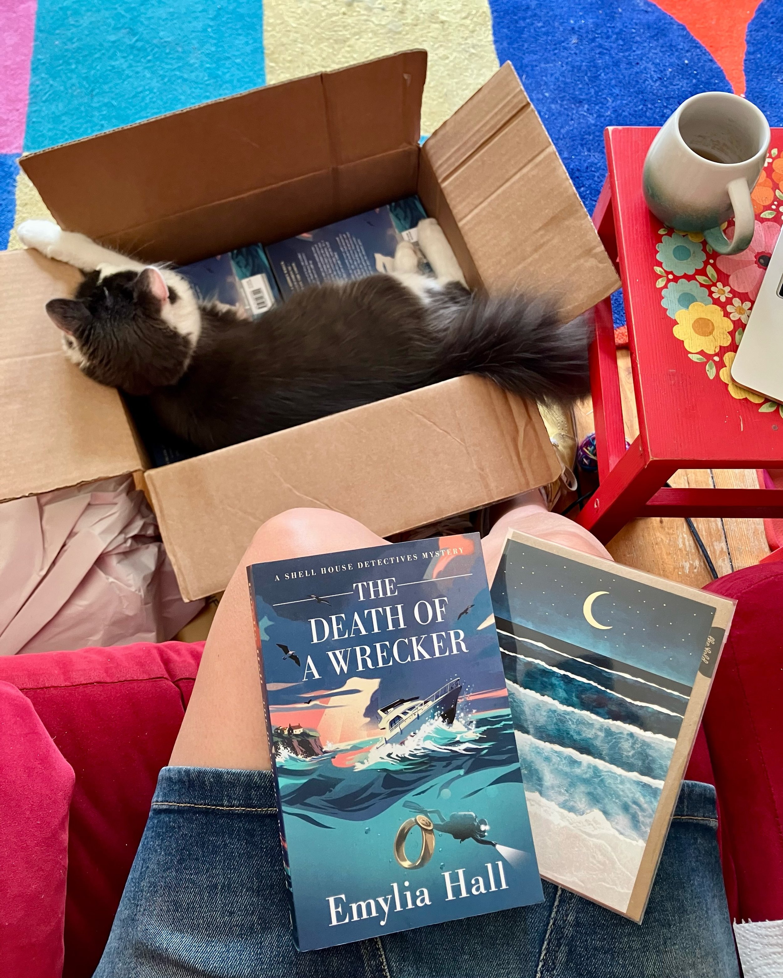 Author friends, if you&rsquo;ve said yes to an early copy of THE DEATH OF A WRECKER then you might get one that&rsquo;s had a cat&rsquo;s bum on it - but that&rsquo;s lucky, right?! 😬😂 🍀 And if you see this and would like one - the bum having swun