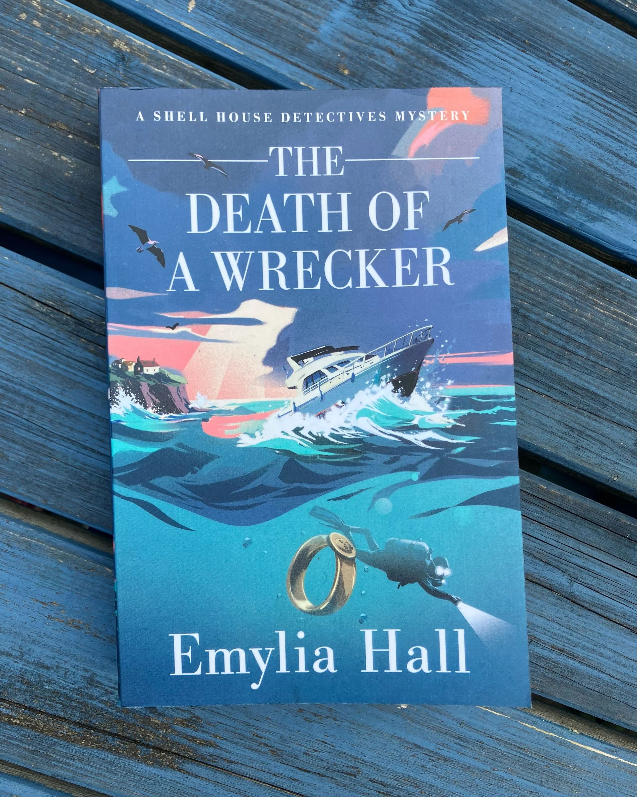 The audio book for the new Shell House Detectives book - THE DEATH OF A WRECKER, out 10th Nov! - is now live on @netgalley 🩵🐚🎵 So if you&rsquo;ve access to NetGalley, and would like me to send you an exclusive link to listen, just drop me a line ?