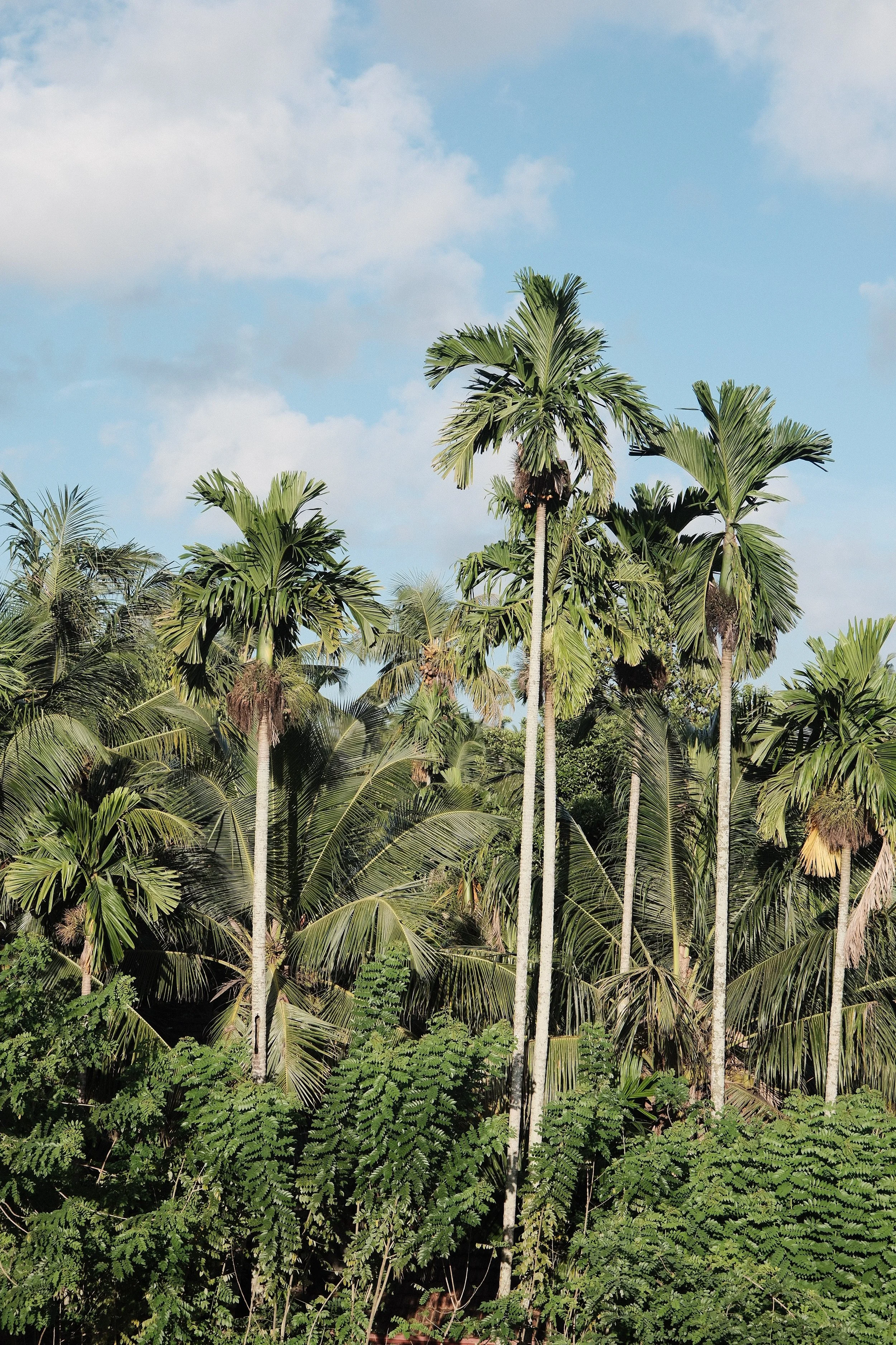 Flowground Studio Ahangama35.JPG