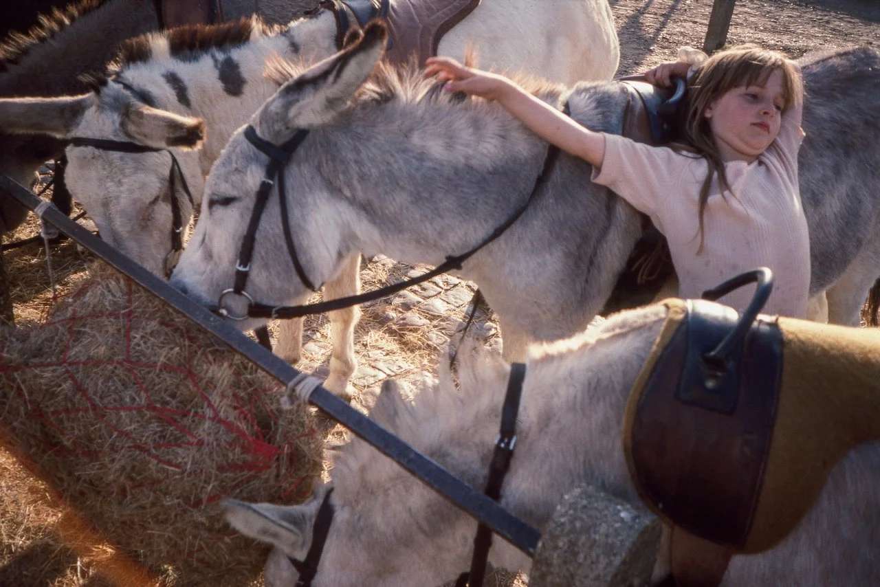 Old Scans (106).jpeg