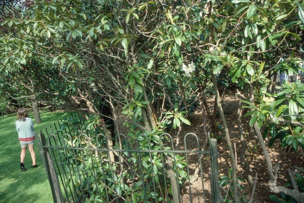 Old Scans (108).jpeg