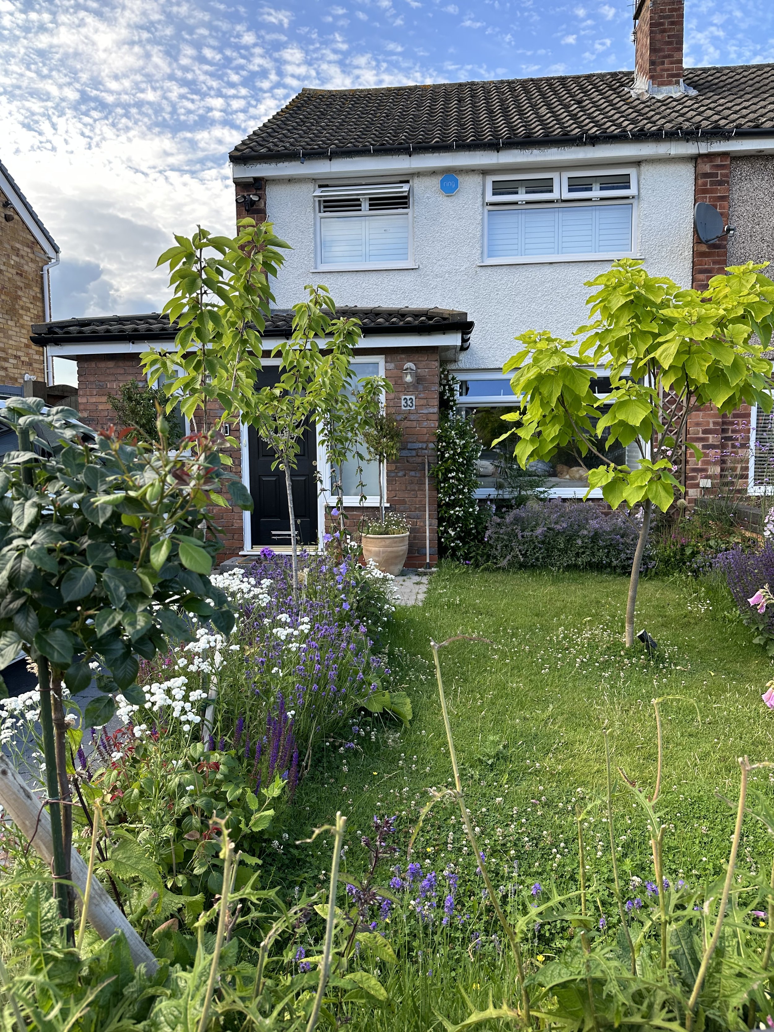 Front garden 5.jpg