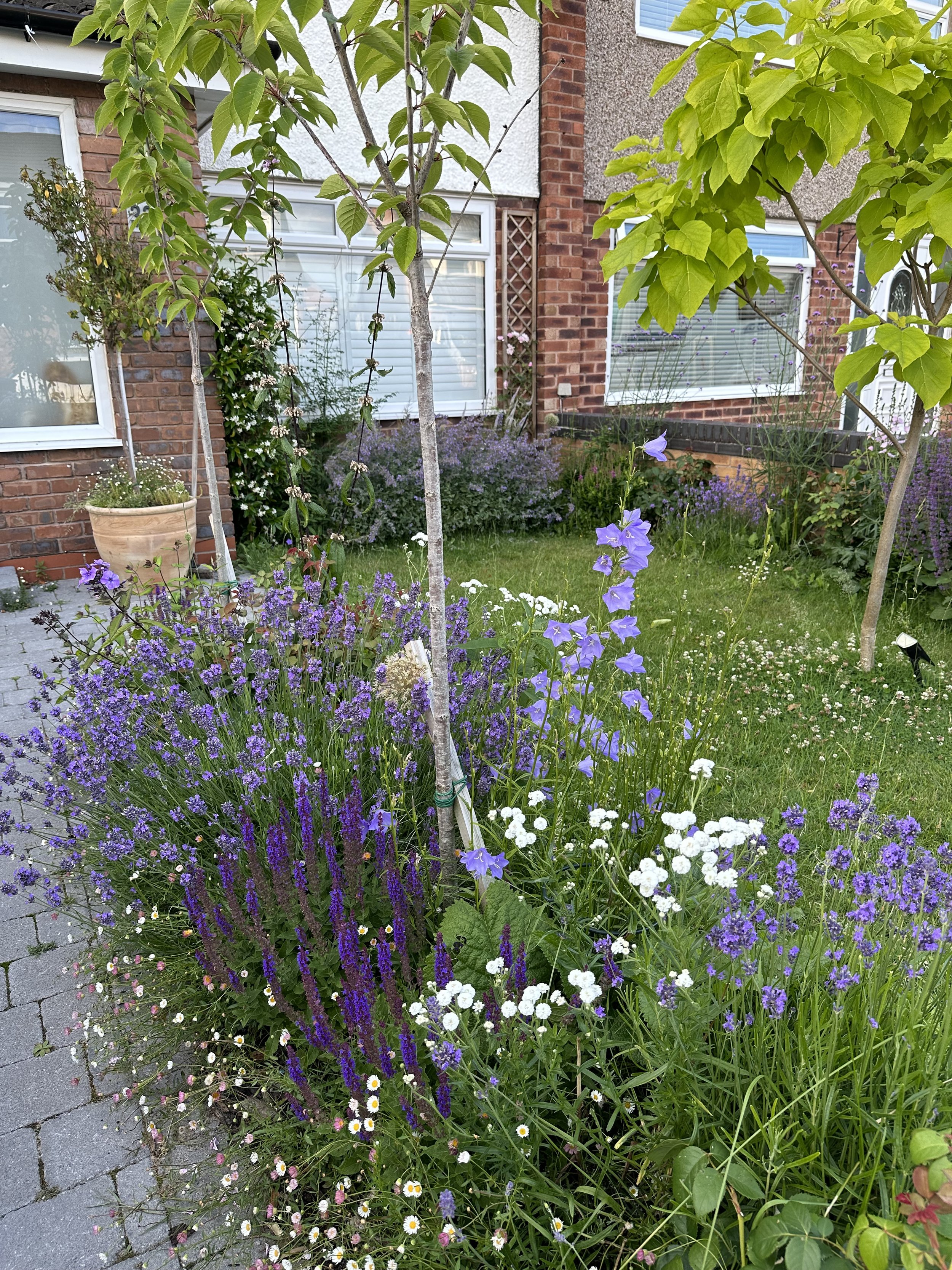 Front garden 4.jpg