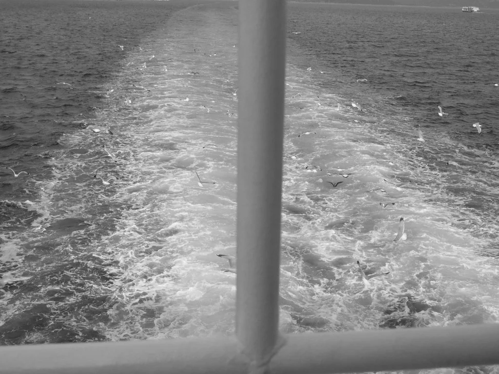 P4211269 (2).jpeg