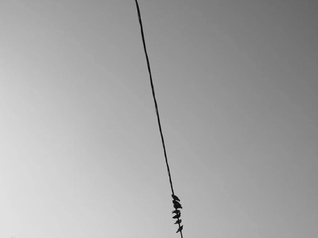 IMG_1791.jpeg