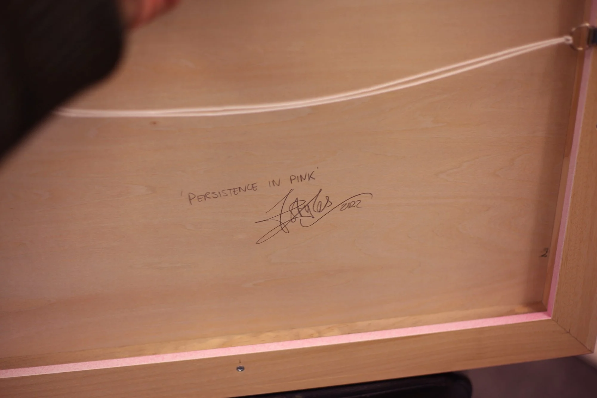 Persistance in Pink4.jpg