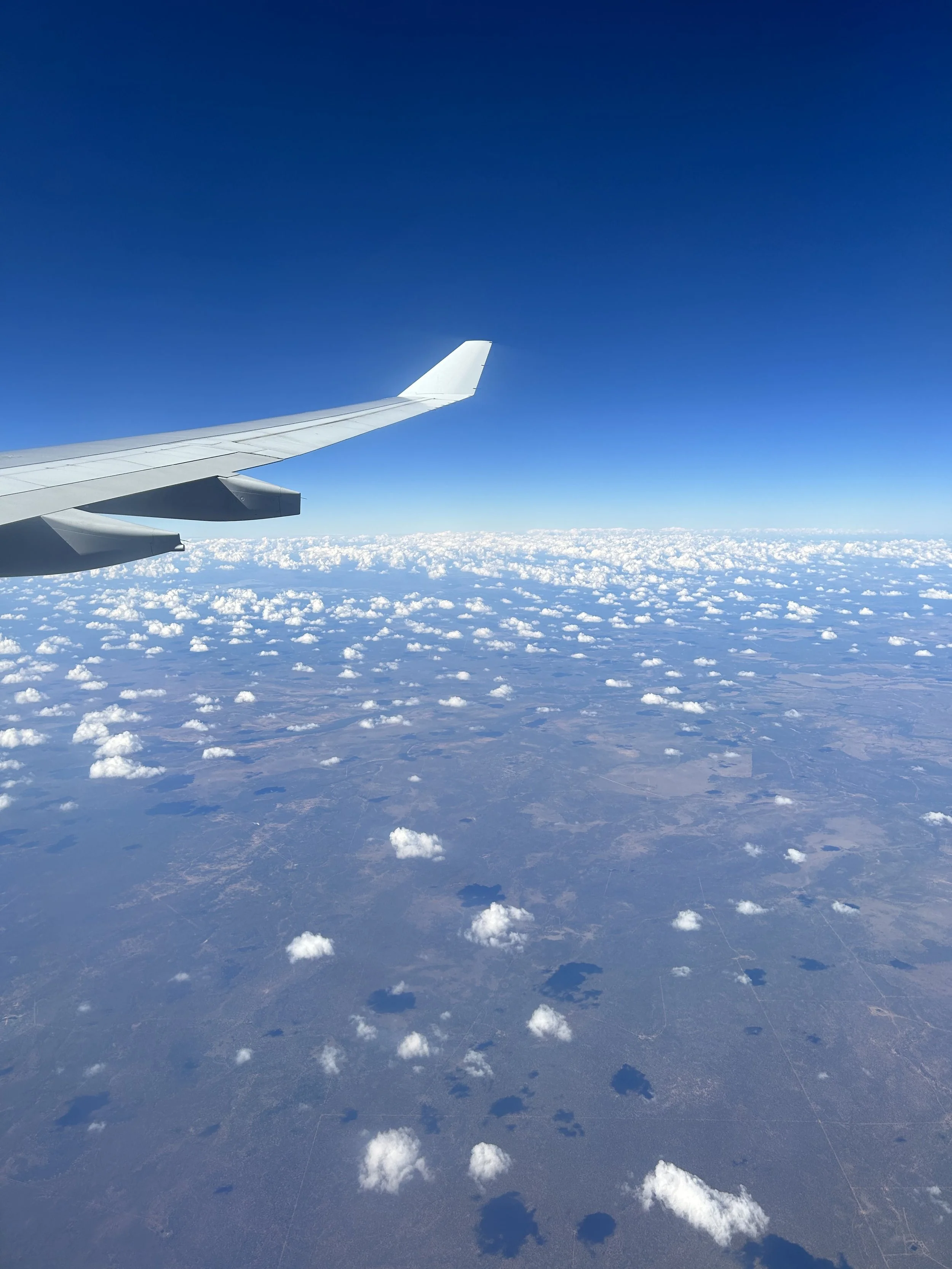 IMG_0987.jpg