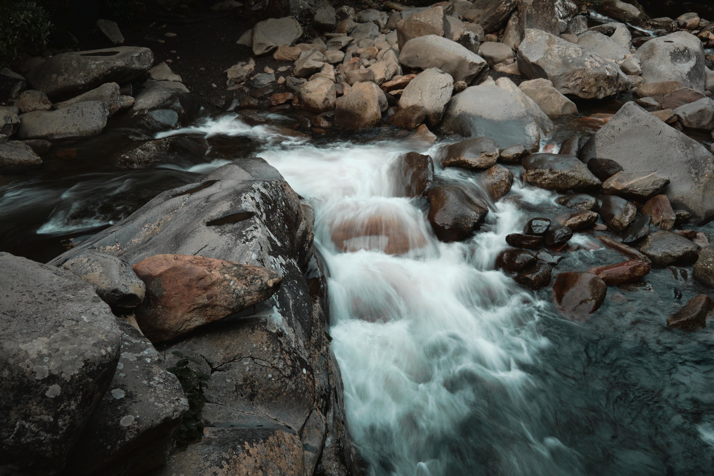 SPEN_00368.jpg