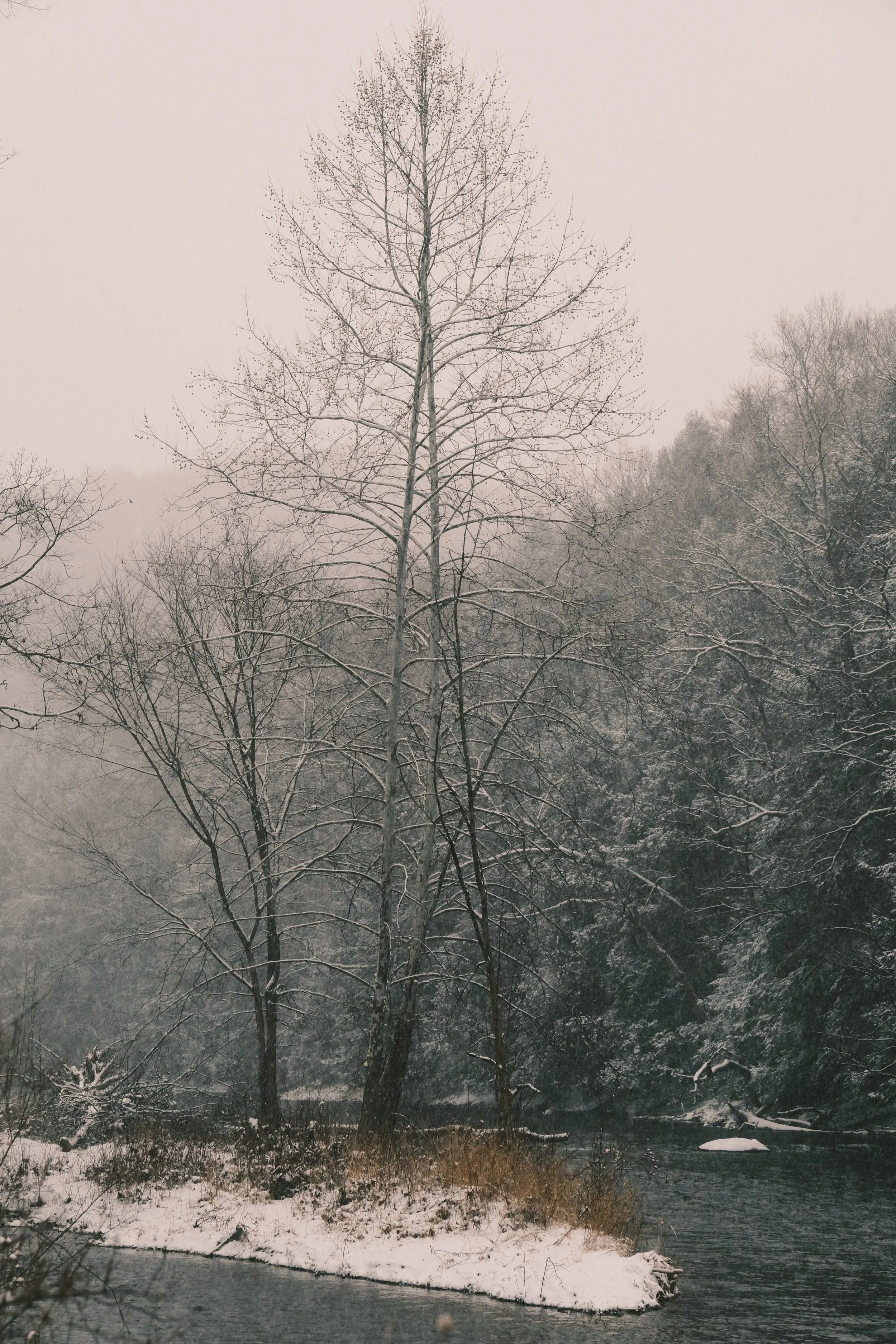 SPEN_01414.jpg