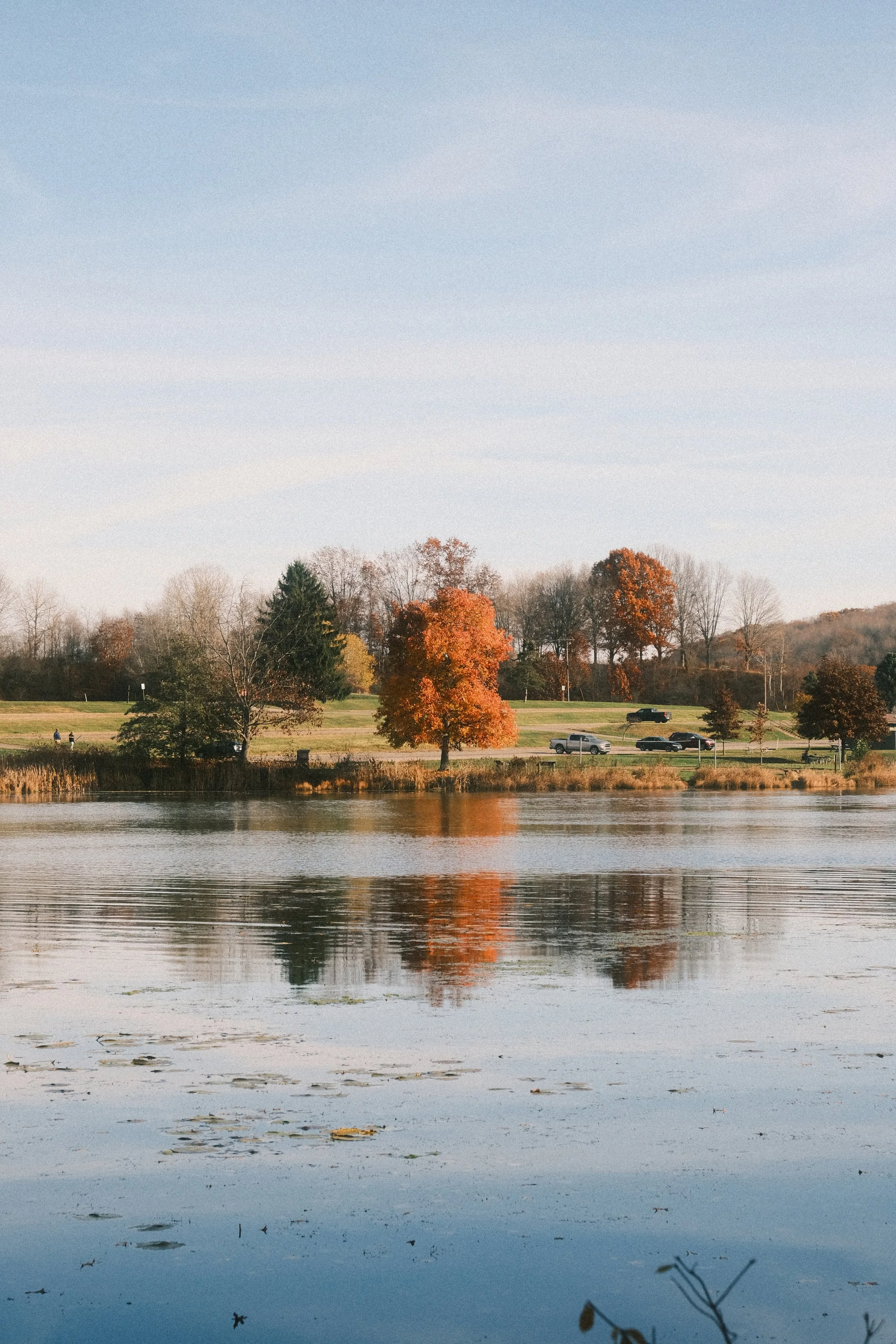 SPEN_01263.jpg