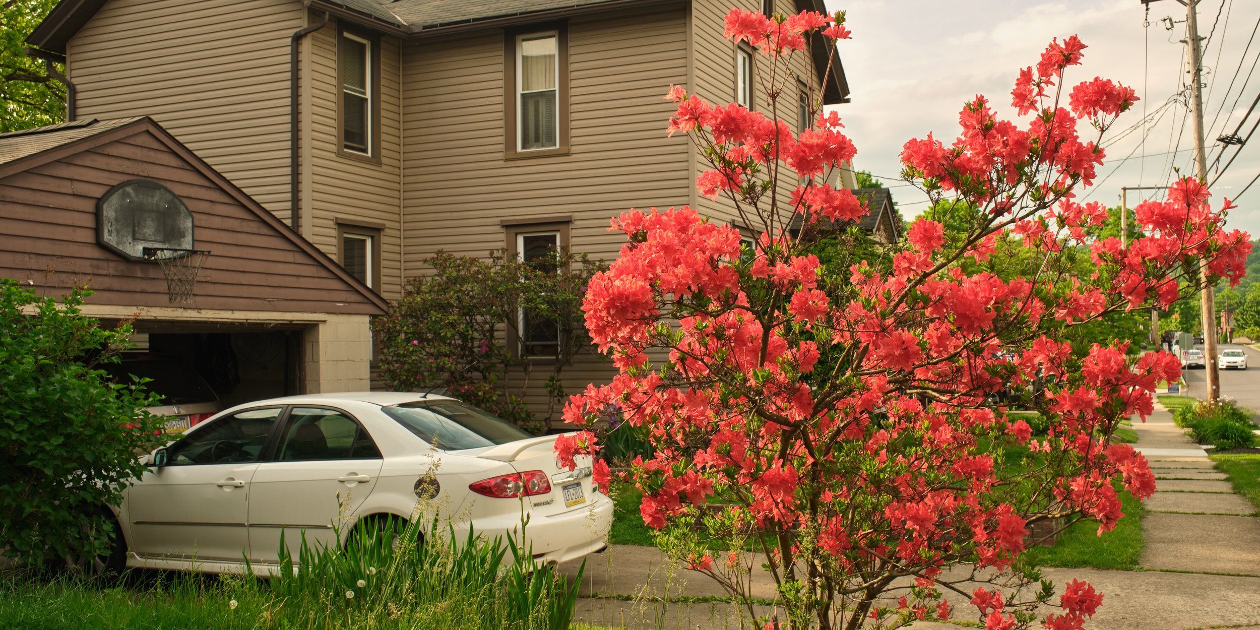SPEN_01732_1.jpg
