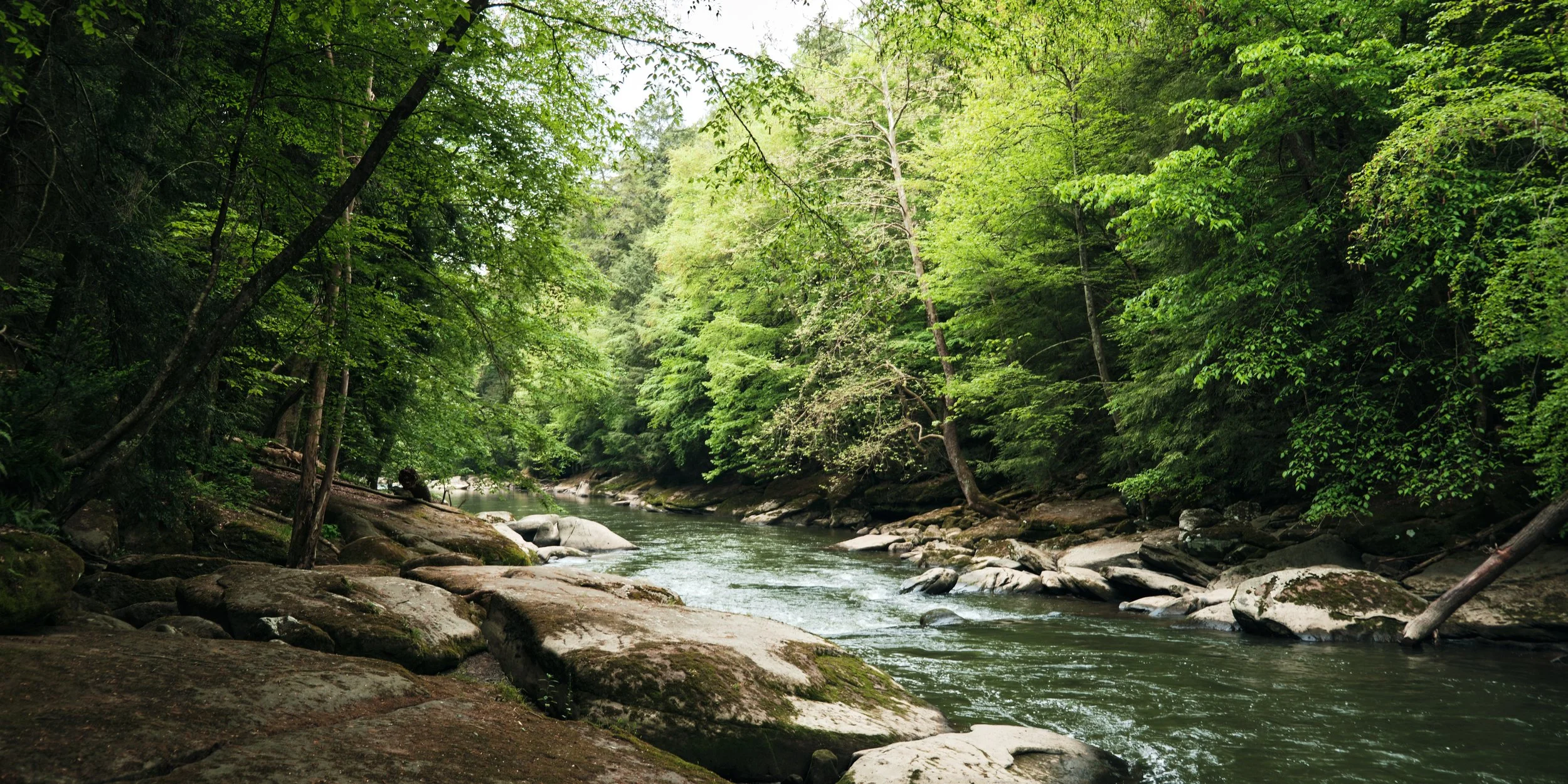 SPEN_00058.jpg