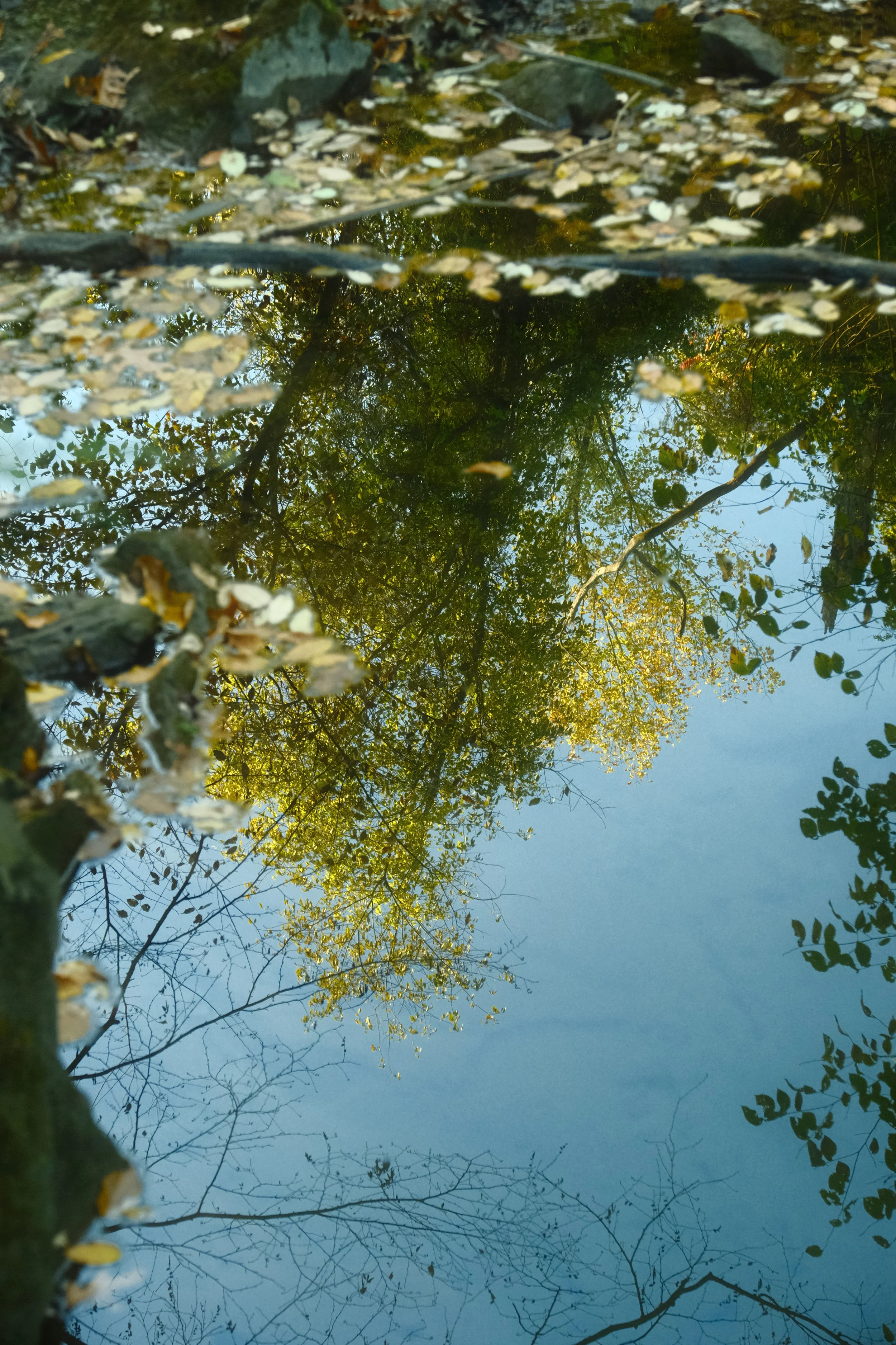 SPEN_03484.jpg