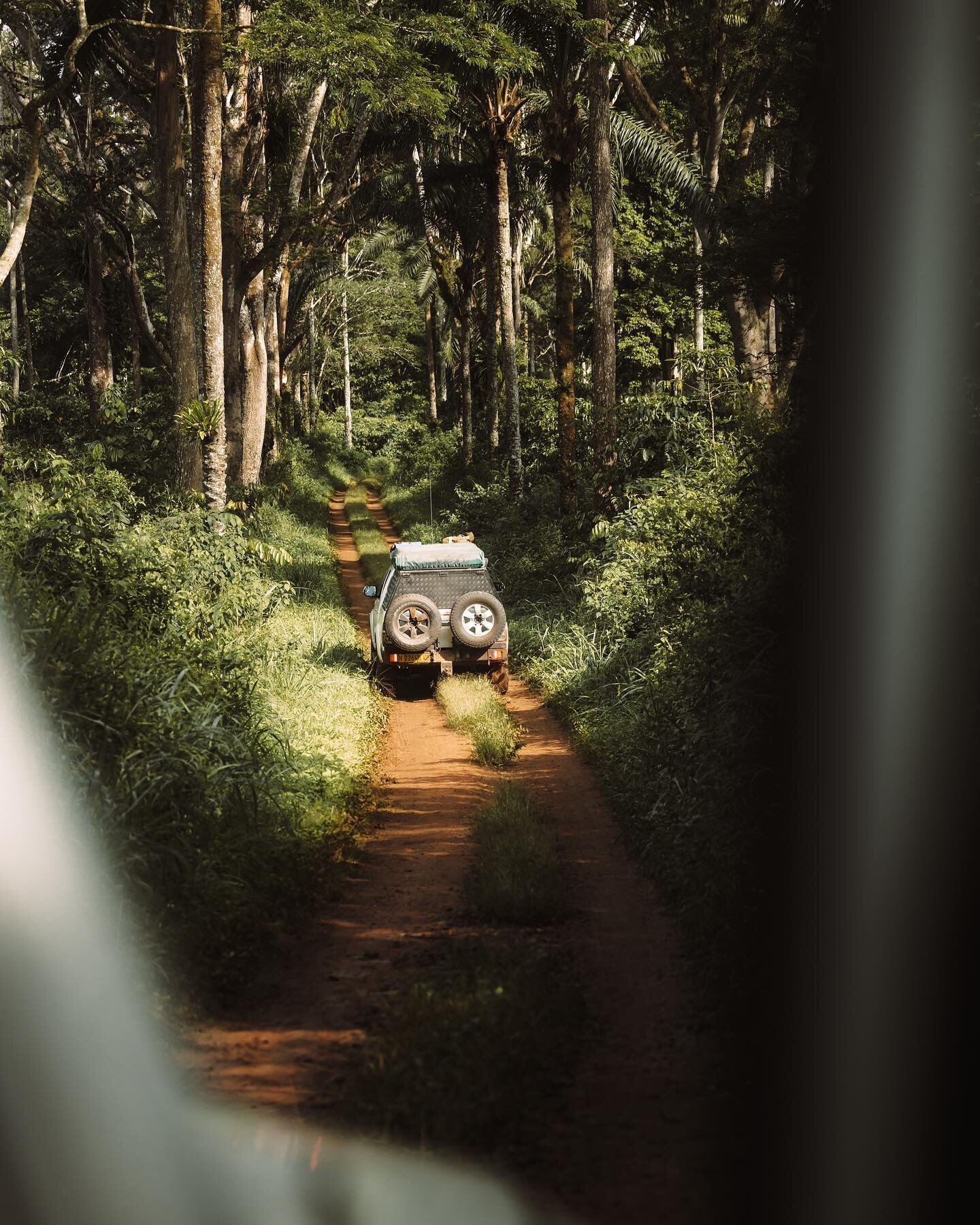 Yesterday we arrived at a massive coffee plantation which takes around 90 minutes to cross. Absolutely loved driving on those dirt roads in the middle of dense vegetation. Angola has been one heck of an adventure so far 🤙🏻

Edited with @care4art.co
