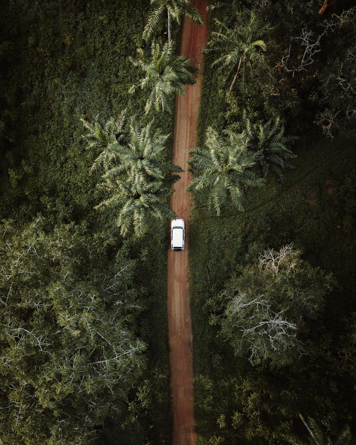 It took us hour to cross this coffee plantation in Angola. Absolutely massive and such a fun ride through mud and grass.

Edited with @care4art.co

#hellofrom #angola #africa