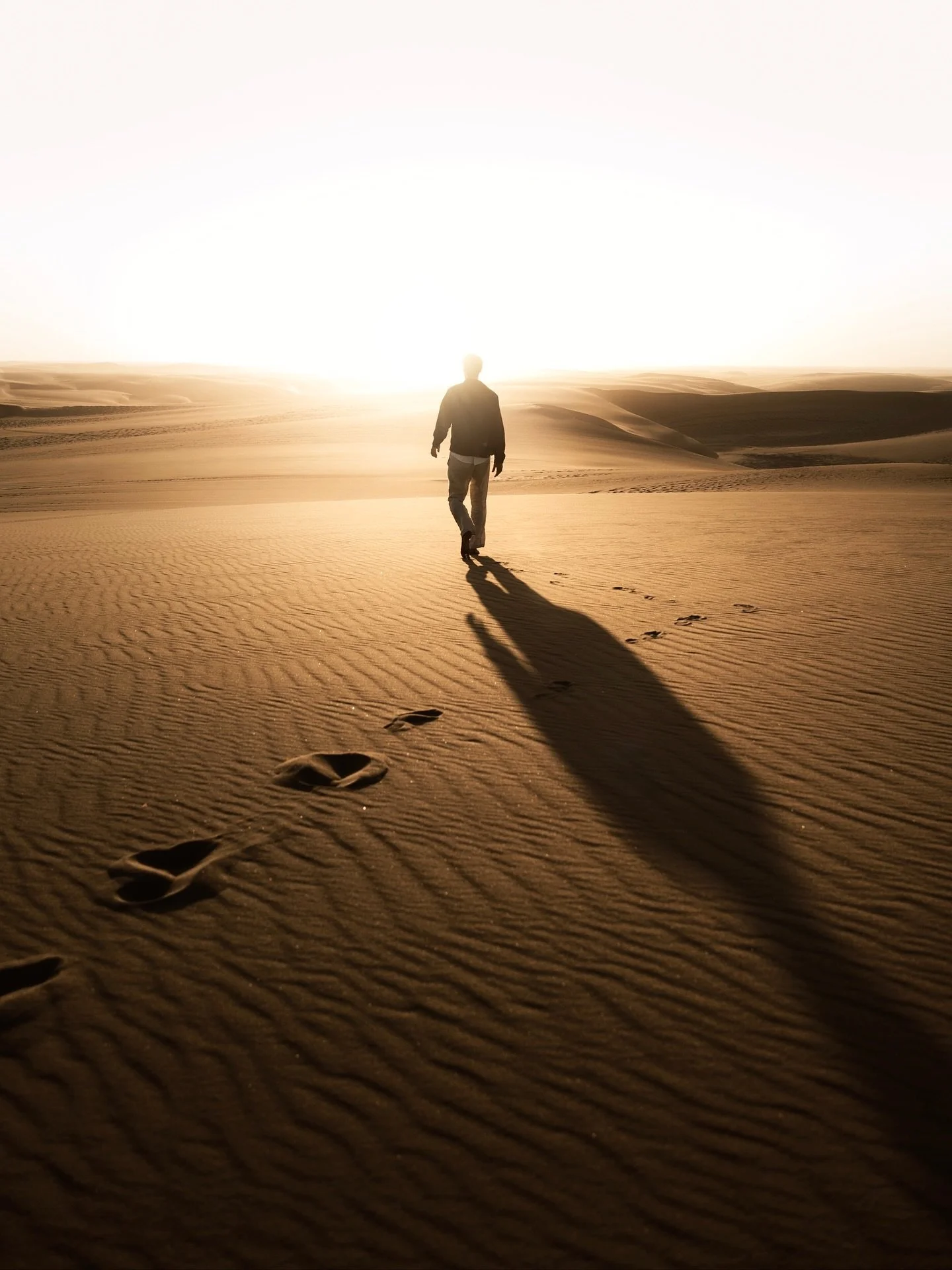 Last light in the Namib Desert βοΈ
No camera could ever do justice to how epic this moment felt, but I tried my best.
All photos edited with @care4art.co
#earthpix #lonelyplanet #natgeoyourshot #beautifuldestinations #shotoncanon #earthfocus #cinema