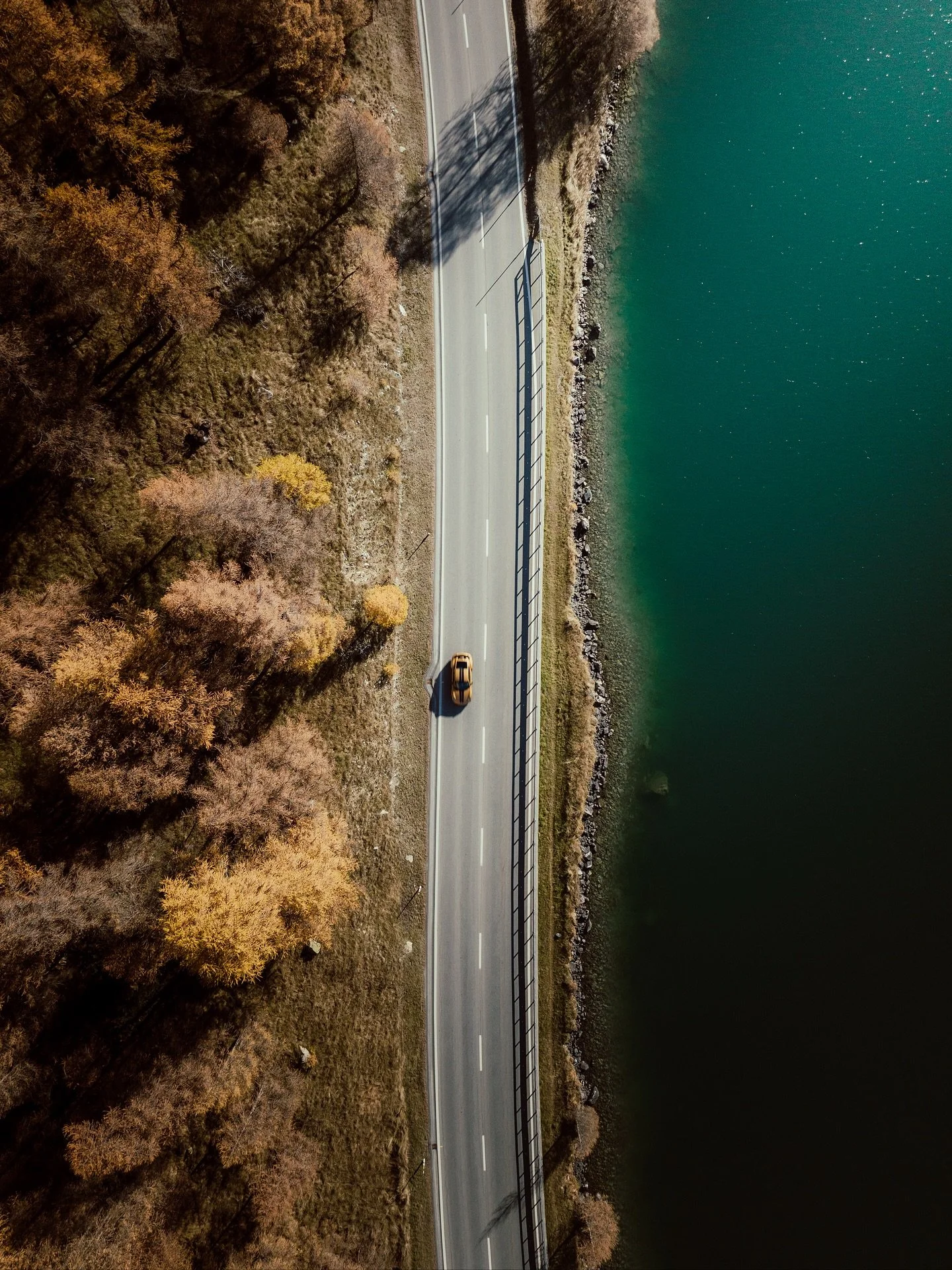 Switzerland's fall colors are on another level 😍! Here are some photos and videos from my two road trips through Switzerland in October and November. So much orange!

Photos edited with @care4art.co
Videos edited with @tonelab.io