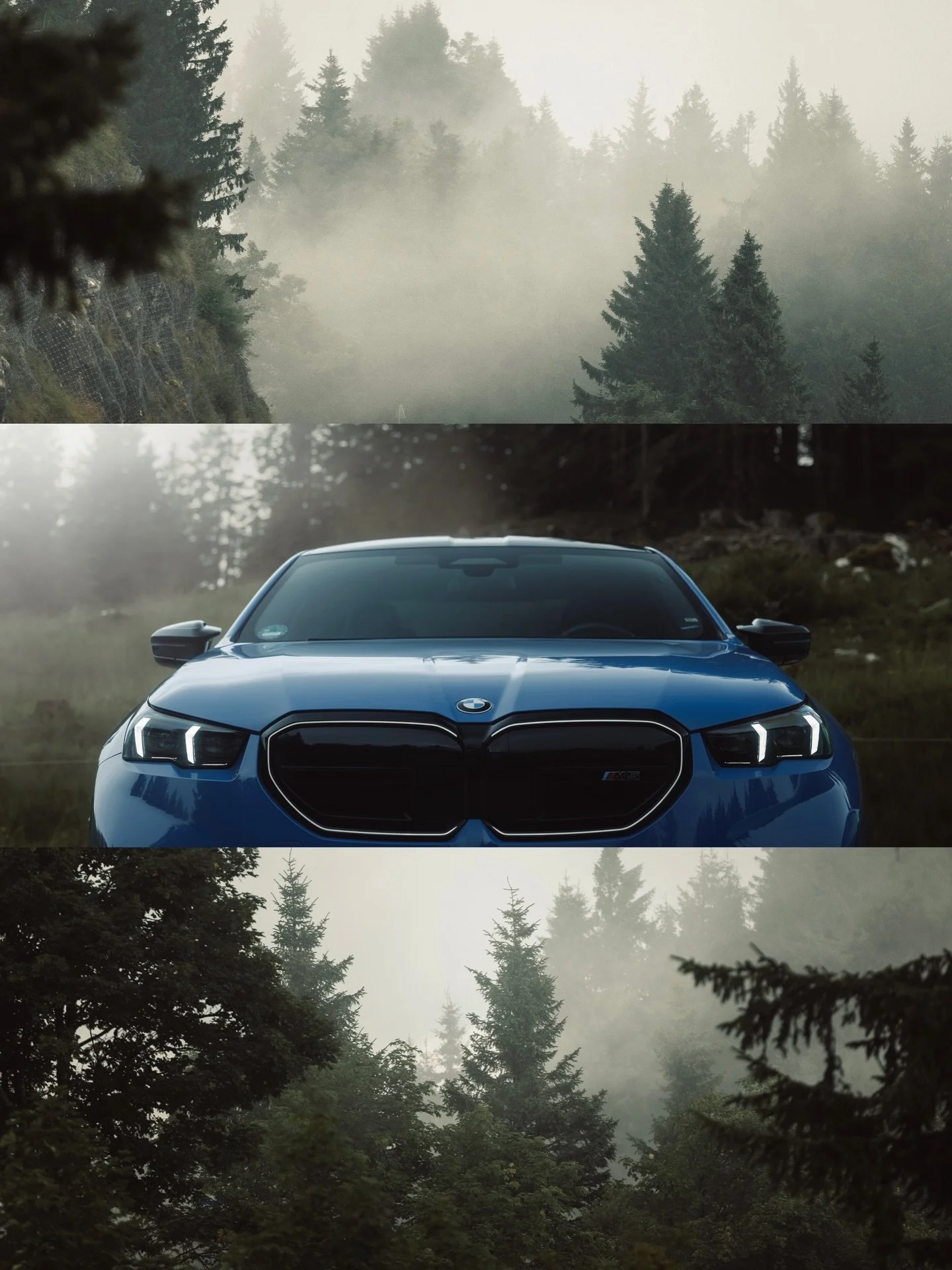 Perfect conditions came together that day to shoot this stunner of an M5. That blue against the moody green background was an absolute eye catcher 🔥

Photos edited with @care4art.co

#carsofinstagram #carphotography #bmwm5 #mood #shotoncanon