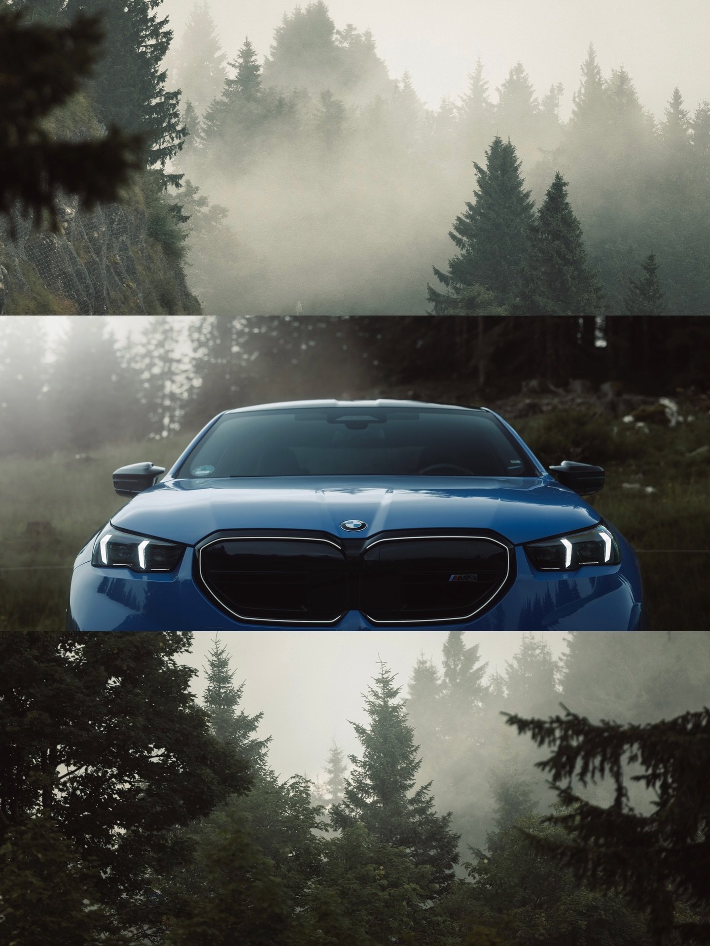 Perfect conditions came together that day to shoot this stunner of an M5. That blue against the moody green background was an absolute eye catcher 🔥

Photos edited with @care4art.co

#carsofinstagram #carphotography #bmwm5 #mood #shotoncanon