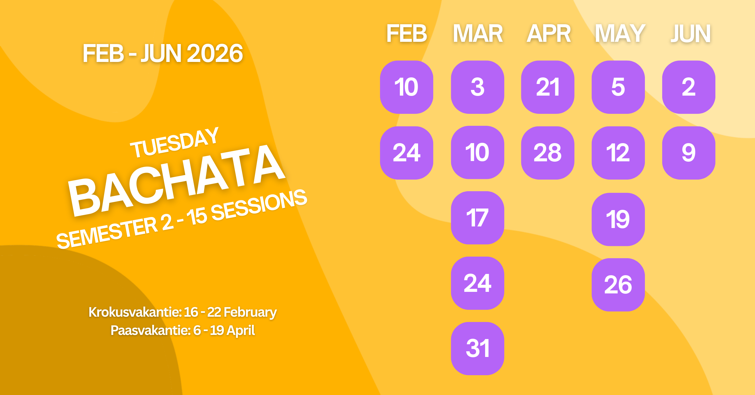 Calendar displaying dates for Bachata dance sessions from February to June 2026, with purple date markers. February dates: 10, 24, 17, 24, 31; March dates: 3, 10, 17, 24; April dates: 21, 28, 19, 26; May dates: 5, 12; June dates: 2, 9.