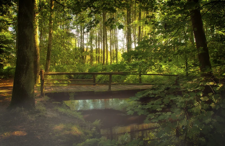 Finding The Beauty of Transition while Navigating Uncertainty