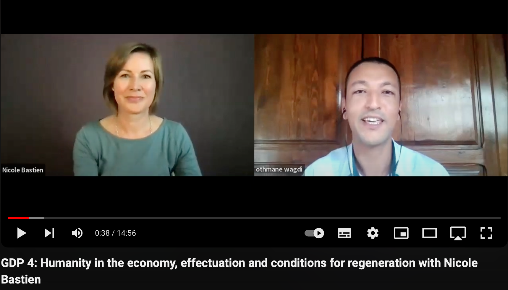 Humanity in the Economy, Effectuation, and Conditions for Regeneration (Copy)