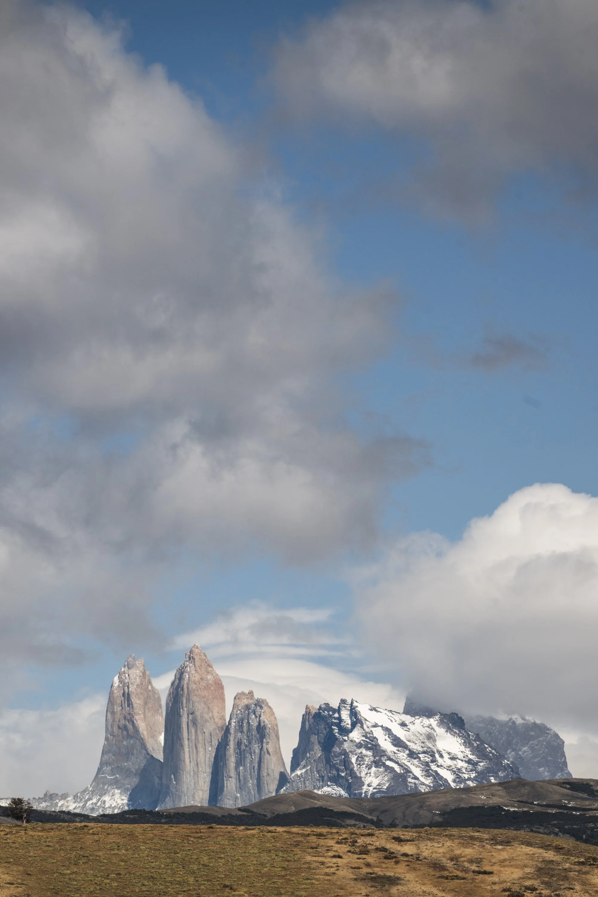 _DSC8580.jpg