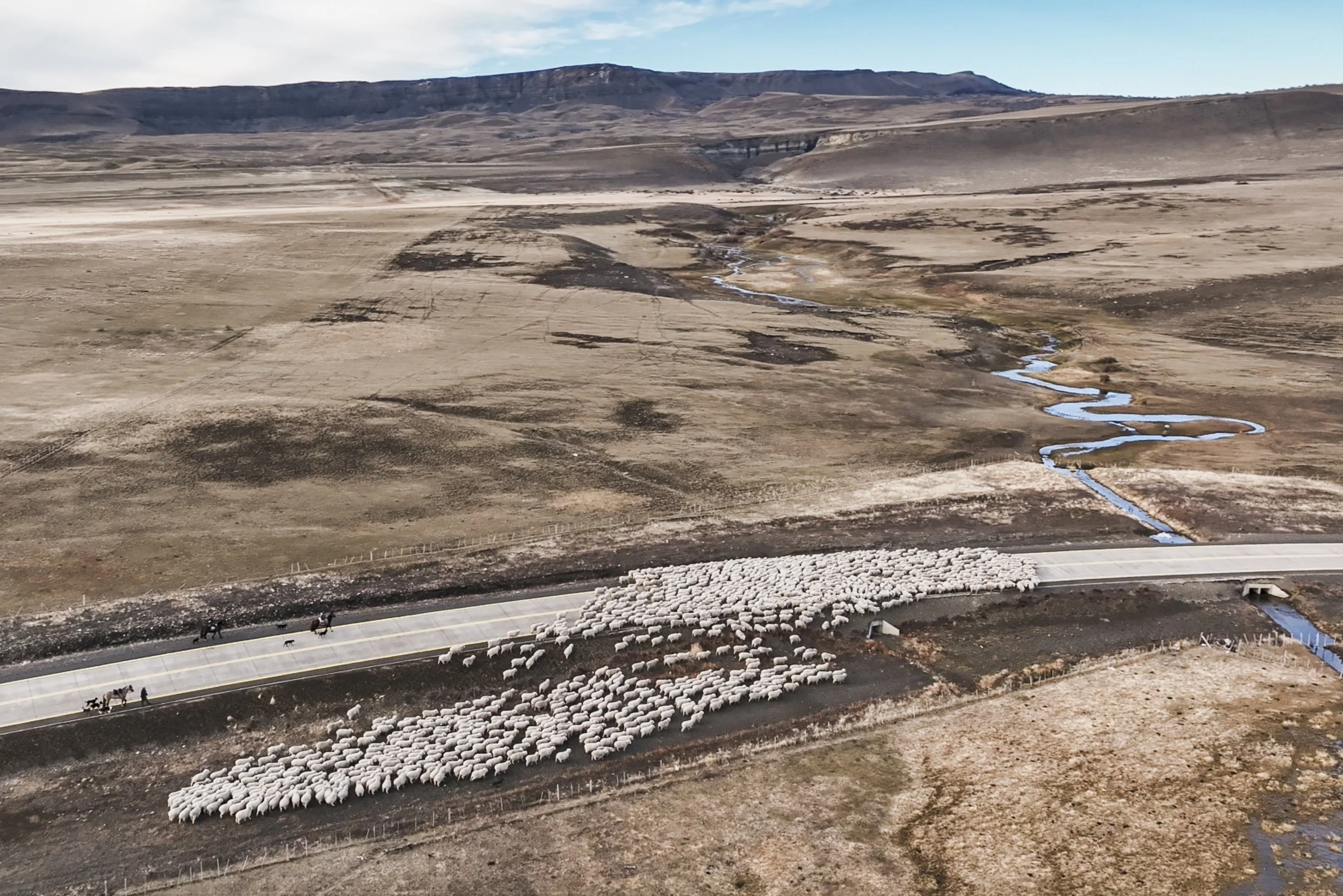 Castillo drone-4.jpg