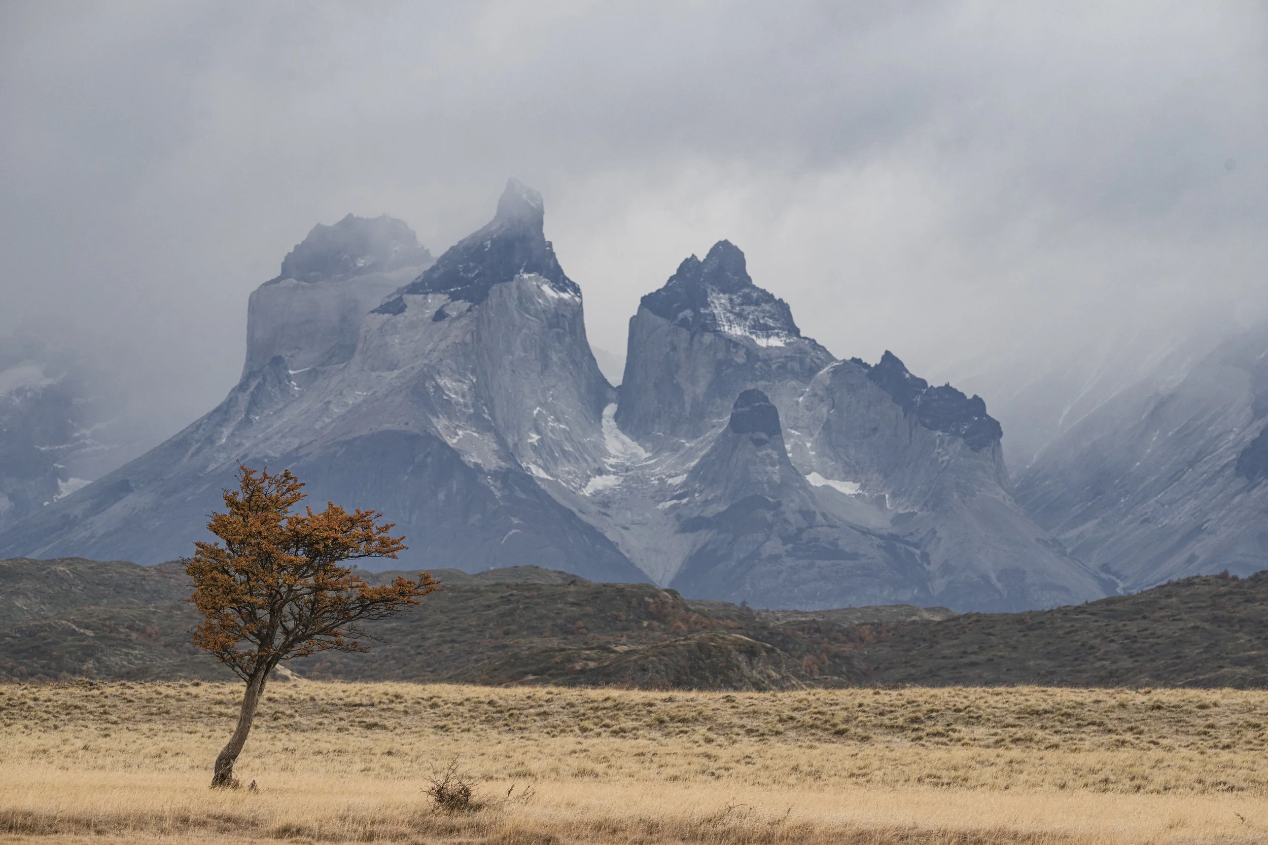 _DSC9981.jpg