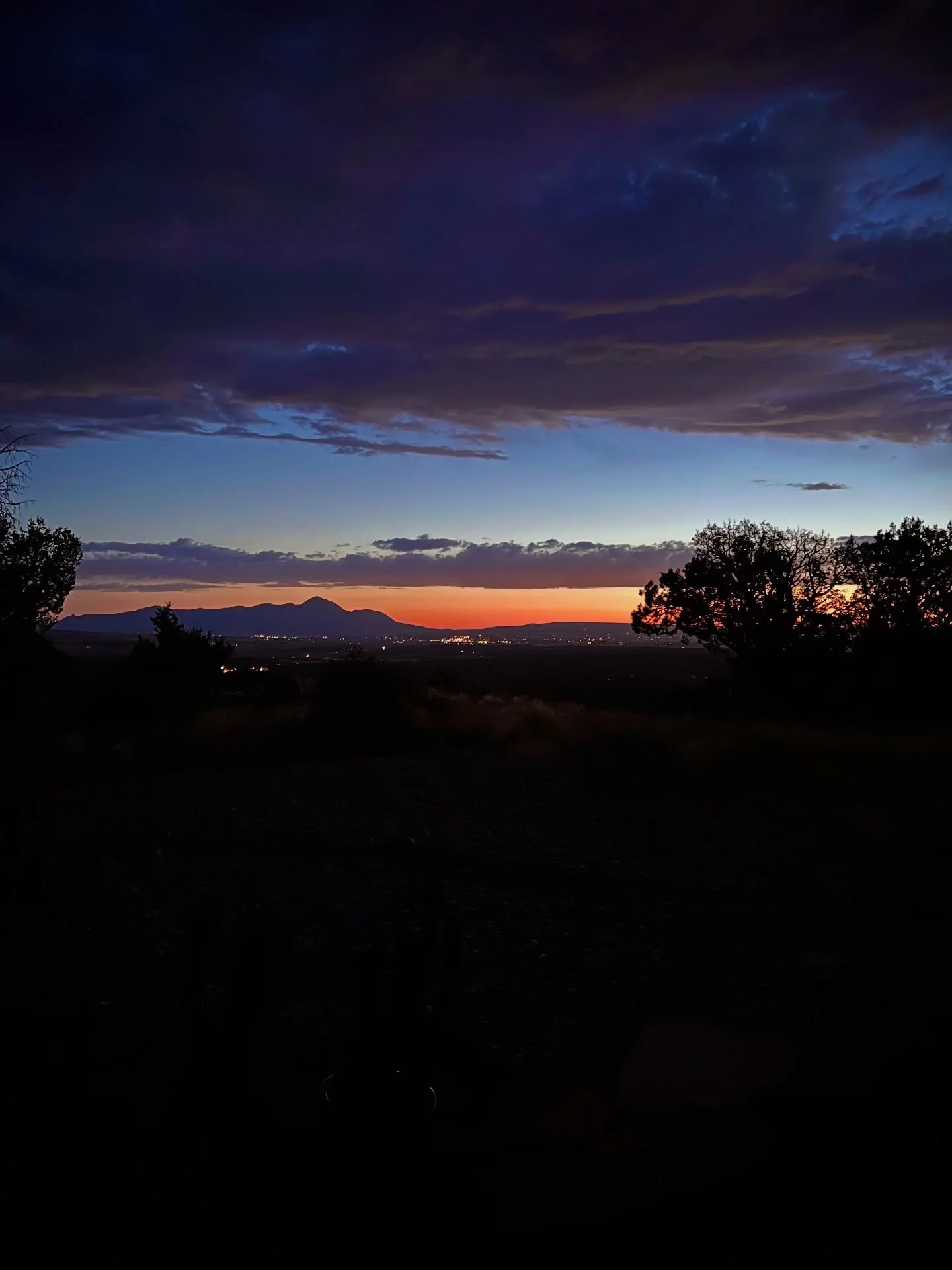 🌿✨ First sunset harvest of summer ✨🌿
The heat is brutal and the bugs are bold&mdash;so we wait for dusk to gather our green allies. Tonight&rsquo;s haul: lavender, chocolate mint, thyme, and spearmint.

🔮 Witchy Tip per Herb
💜 Lavender &ndash; Bu
