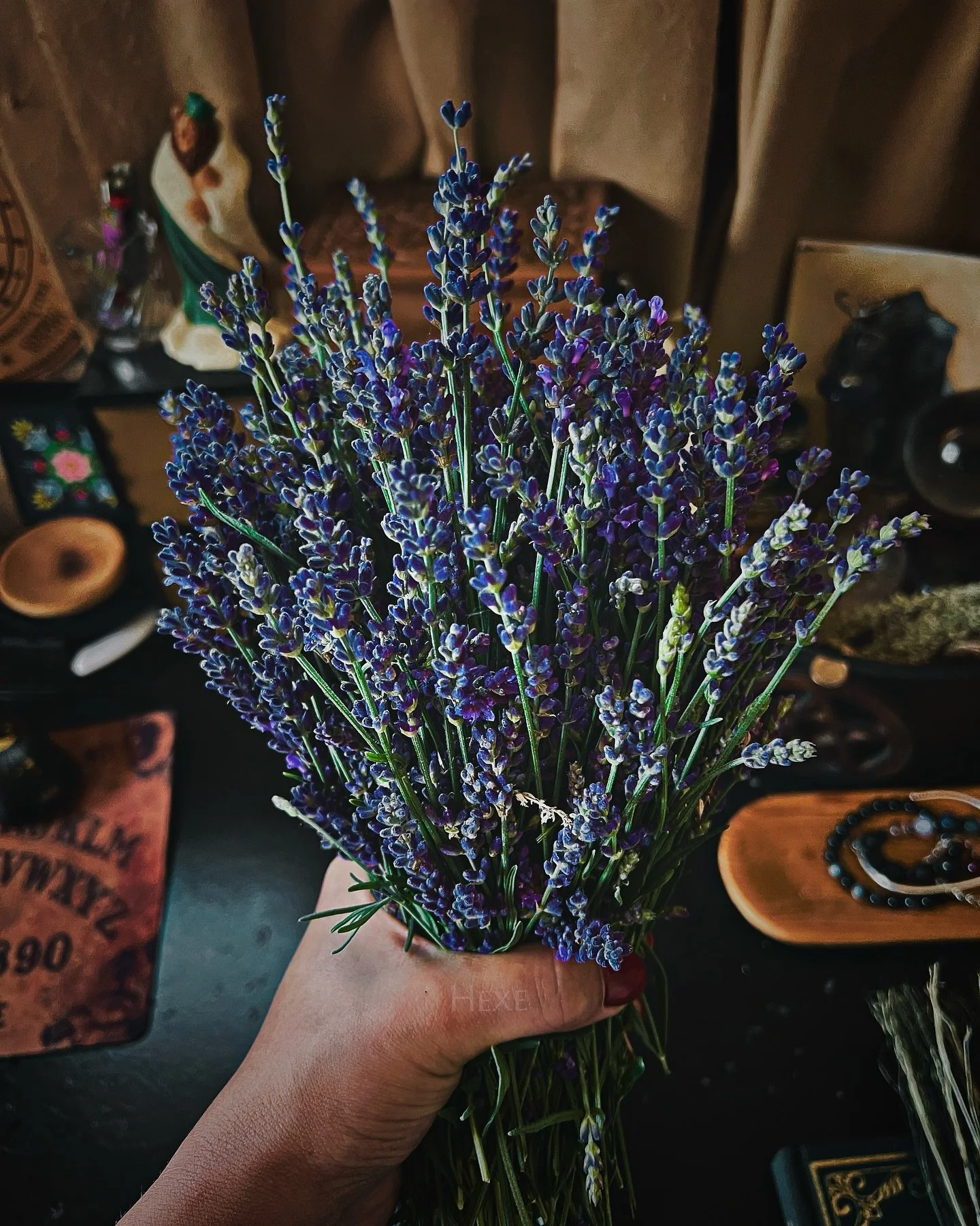 Clutched in the fist of the damned: lavender, freshly severed, still humming with solar blood. Cleansing? Maybe. Cursed? Definitely. Blessed be the harvest&mdash;now burn it. 

🌿🕯️💀 

#Witchcraft #HerbalWitch #LavenderMagic #MetalWitch #HexesAndHa