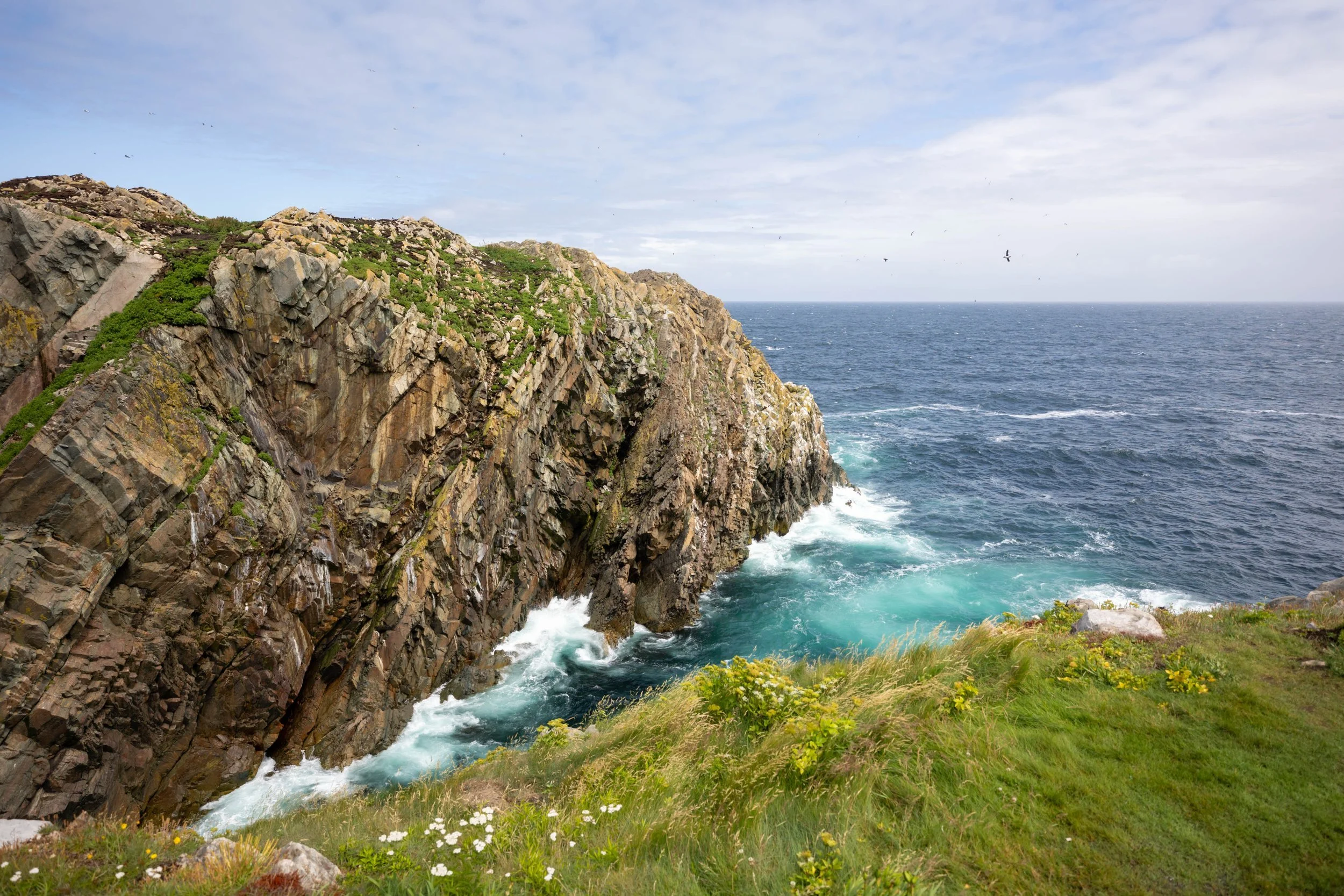On the Edge of the World: A Journey Through the East Coast Trail