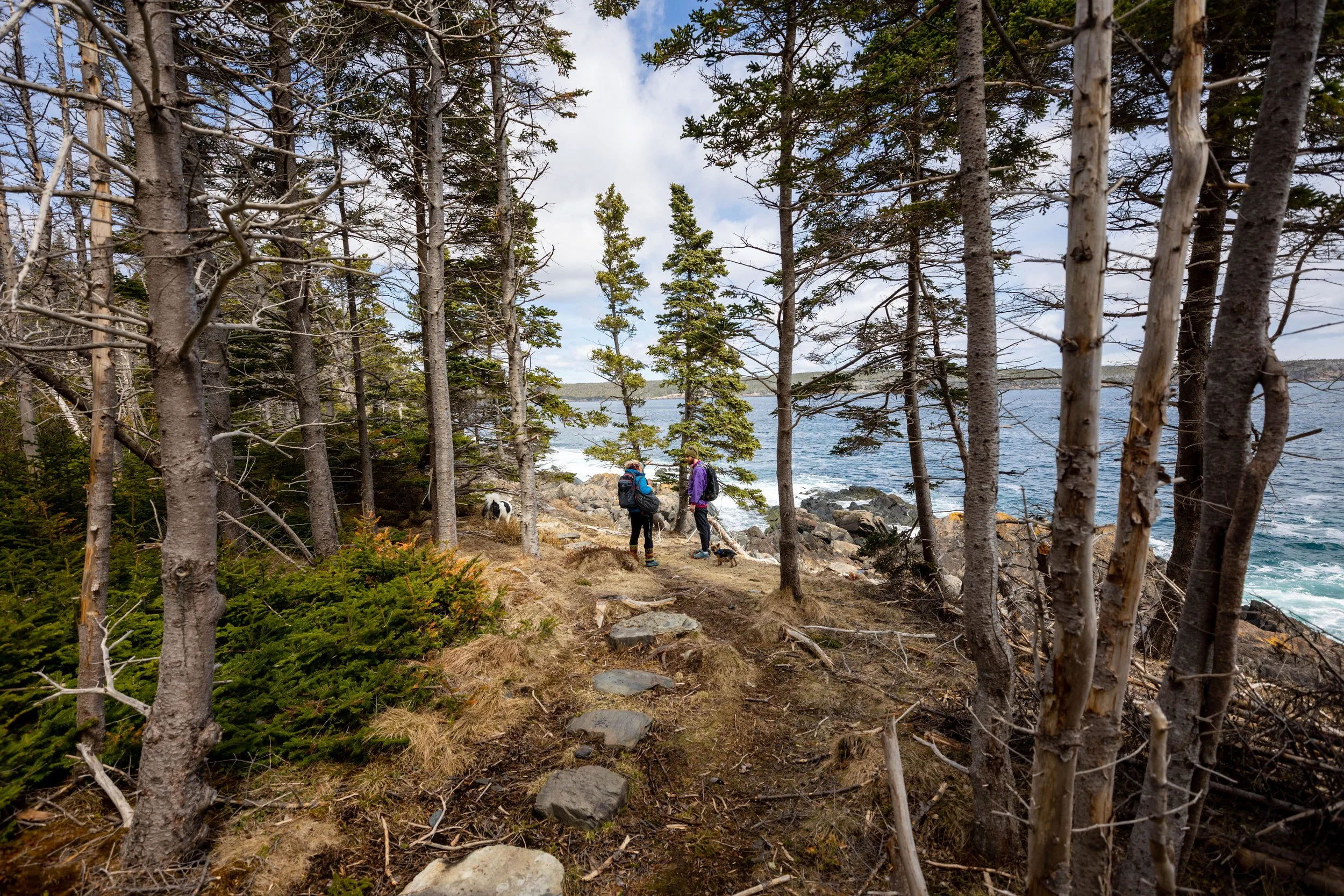 La Manche Trail