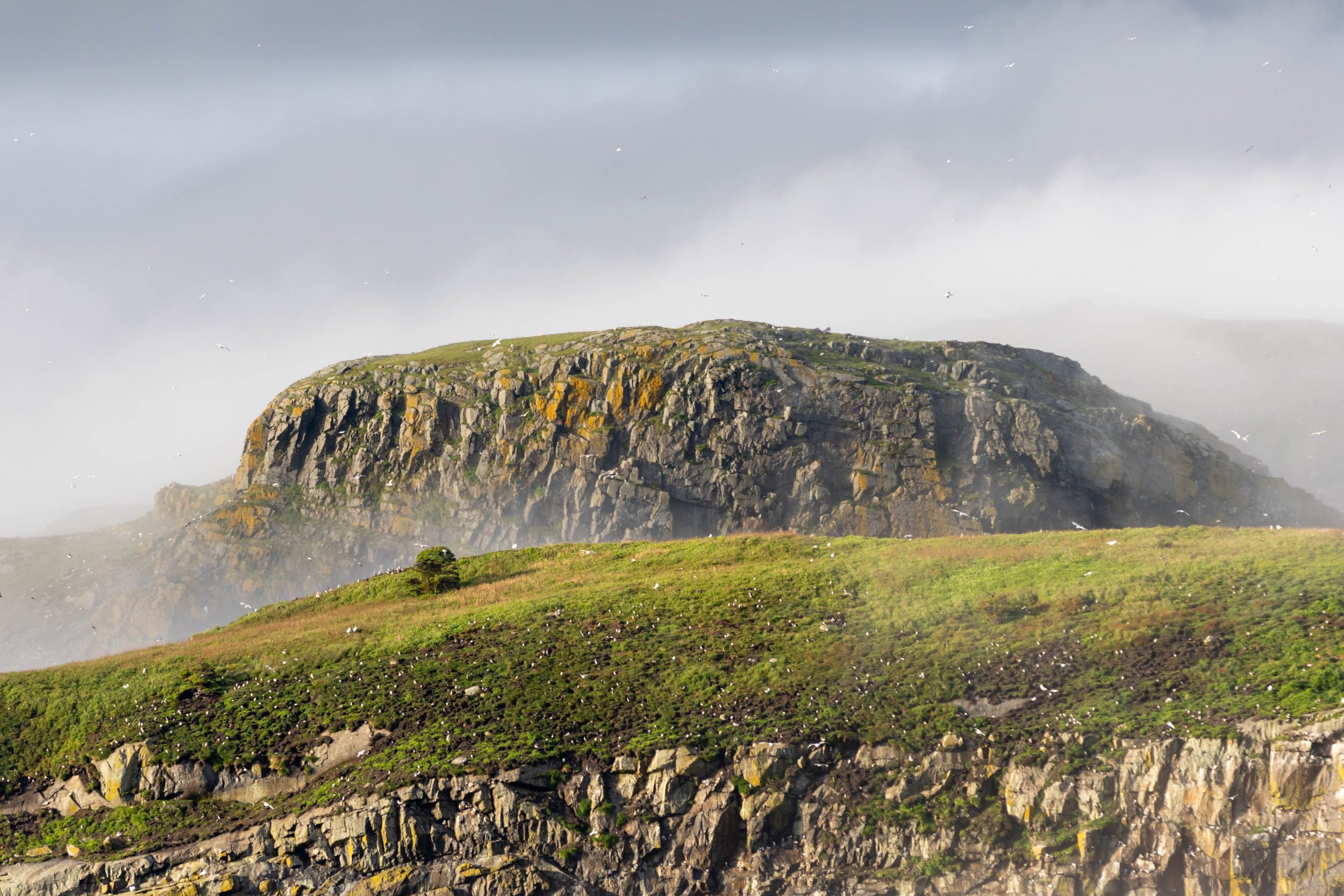 islandfog-2.jpg