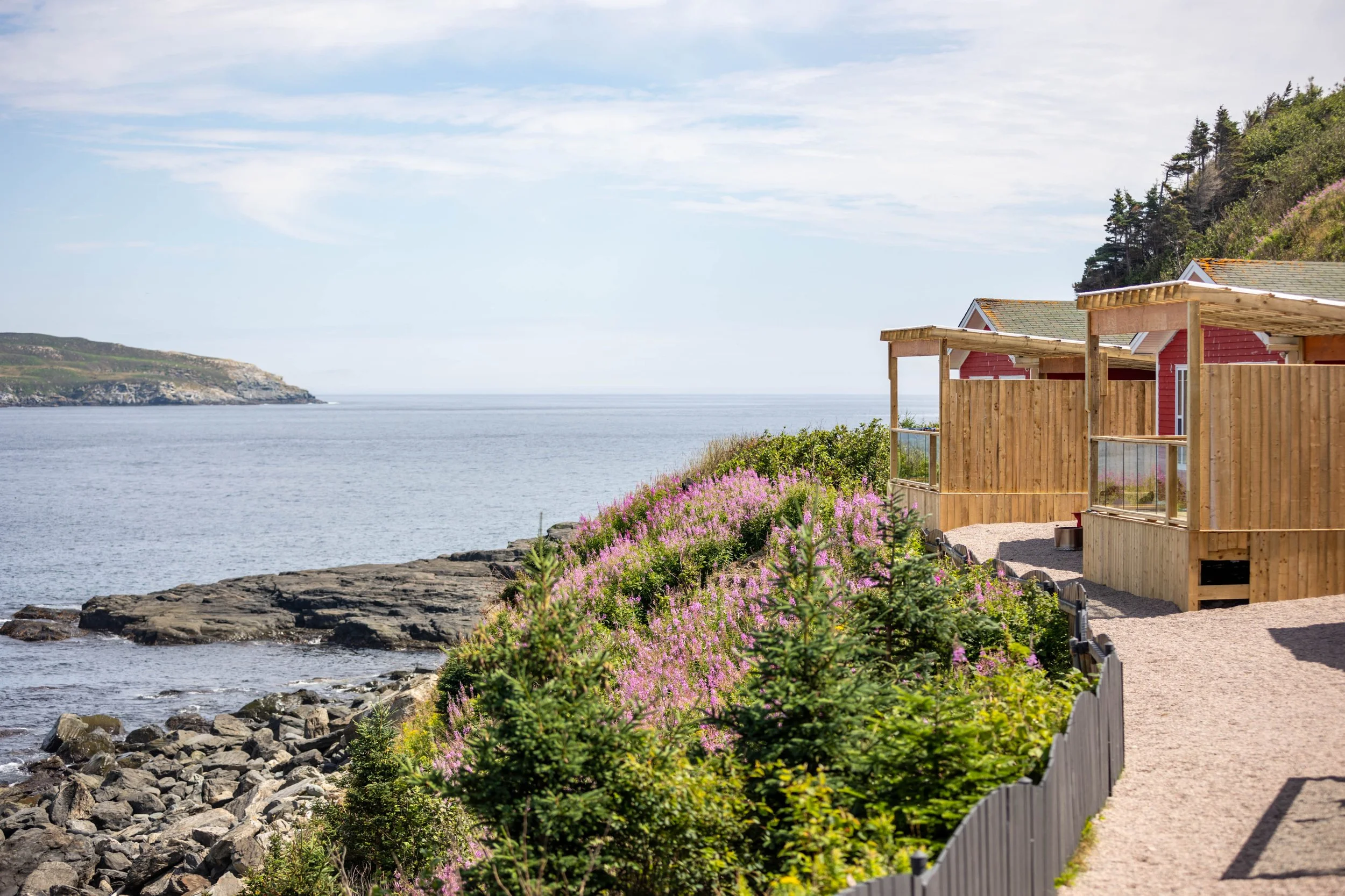 Coastal scene with rocky shoreline, pink flowering bushes, gravel pathway, red houses with green roofs, wooden fences, ocean and distant cliffs under partly cloudy sky.