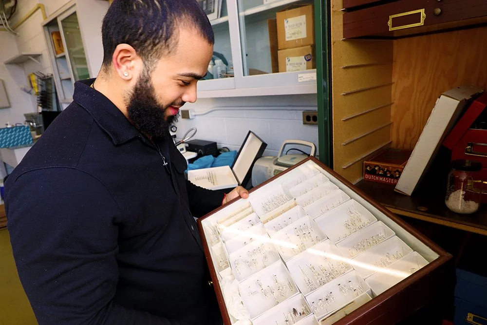 URI's Domingo Lora Medina looks into a glass case of mosquito specimens in the Couret Lab.