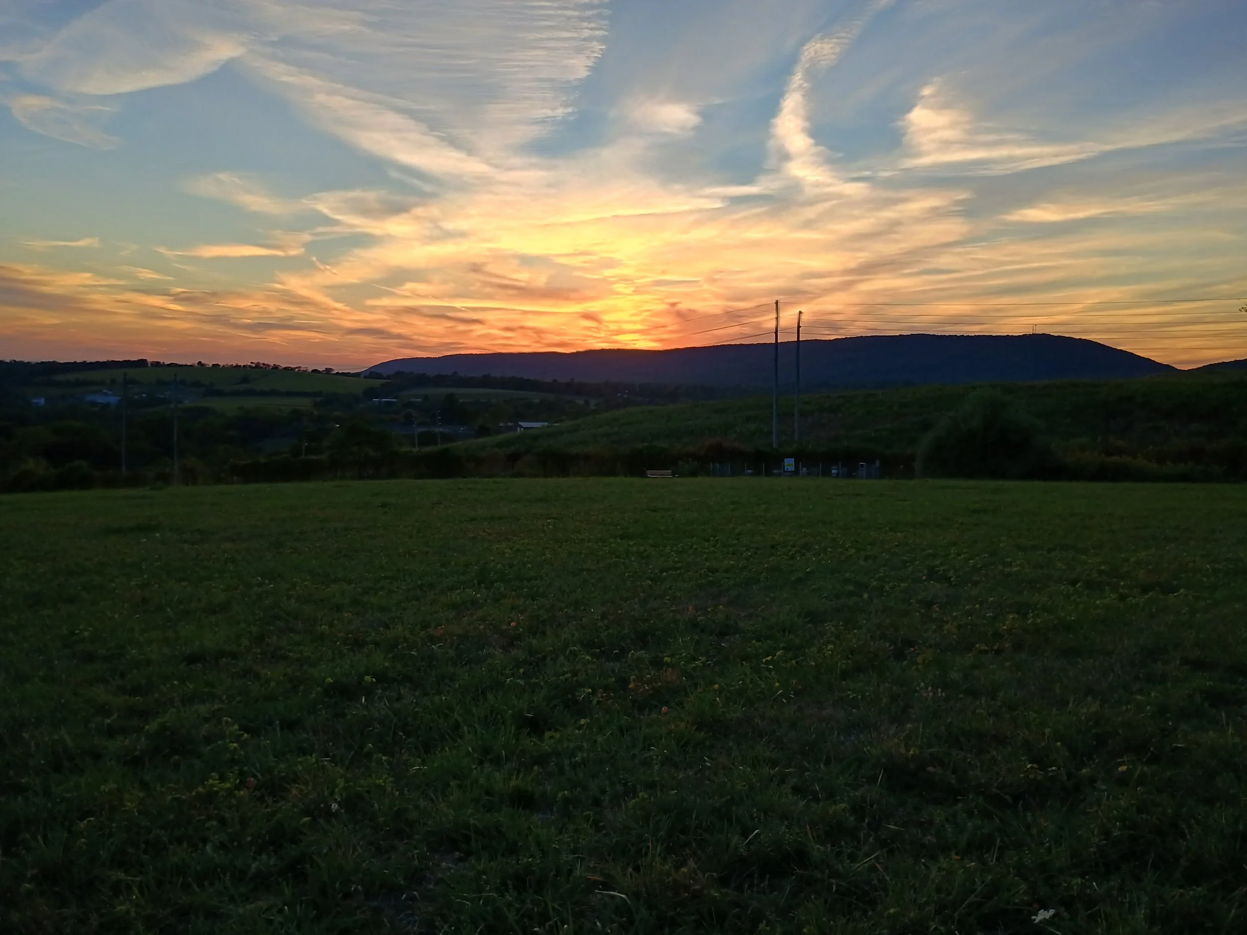 IMG_20250920_185518040_HDR.jpg