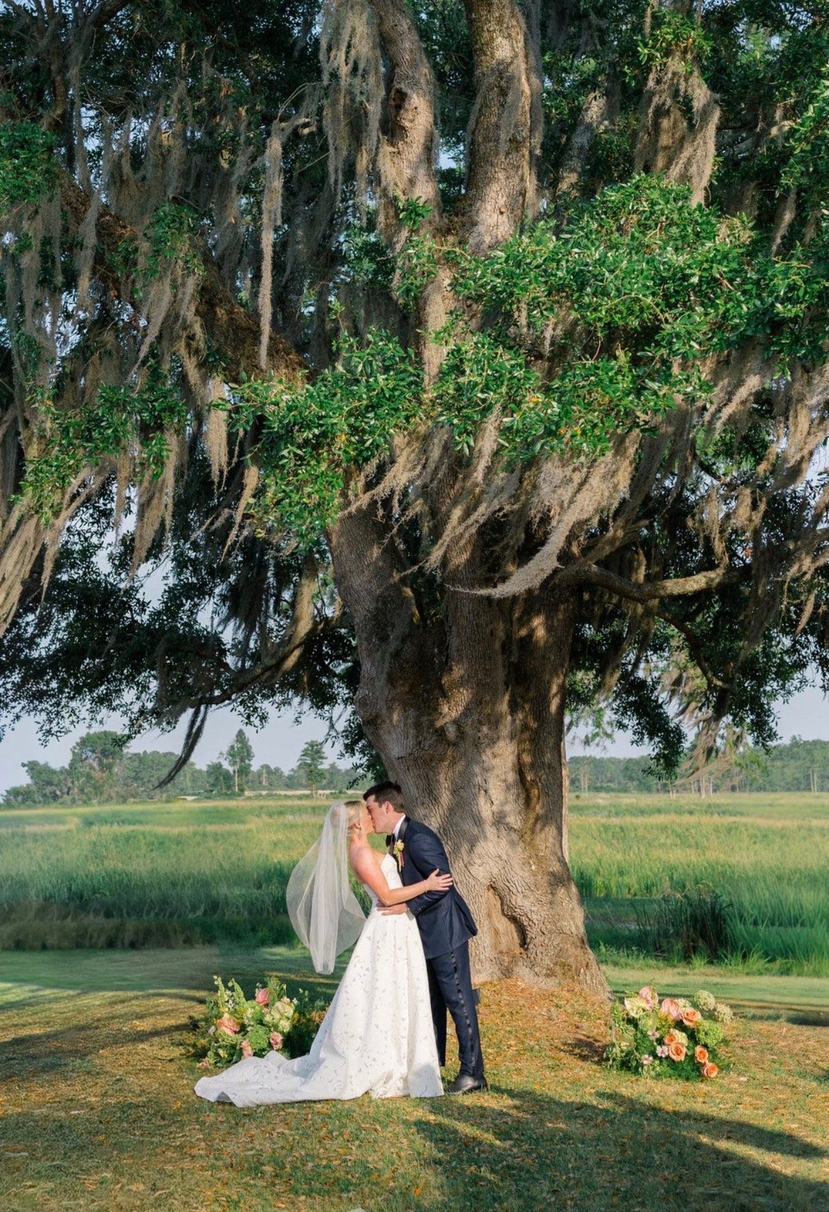 The Promise Tree
