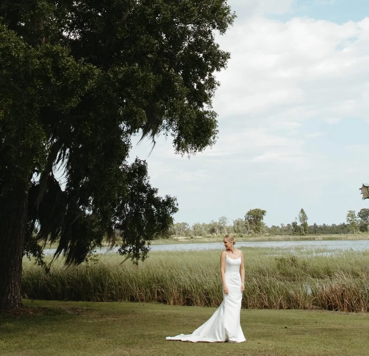 Ricefield Overlook