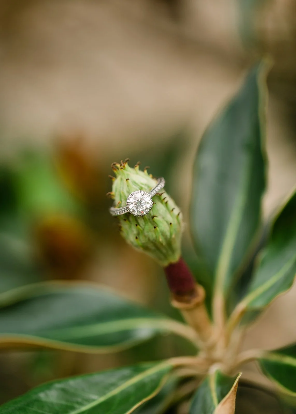 Engagement Ring.jpg