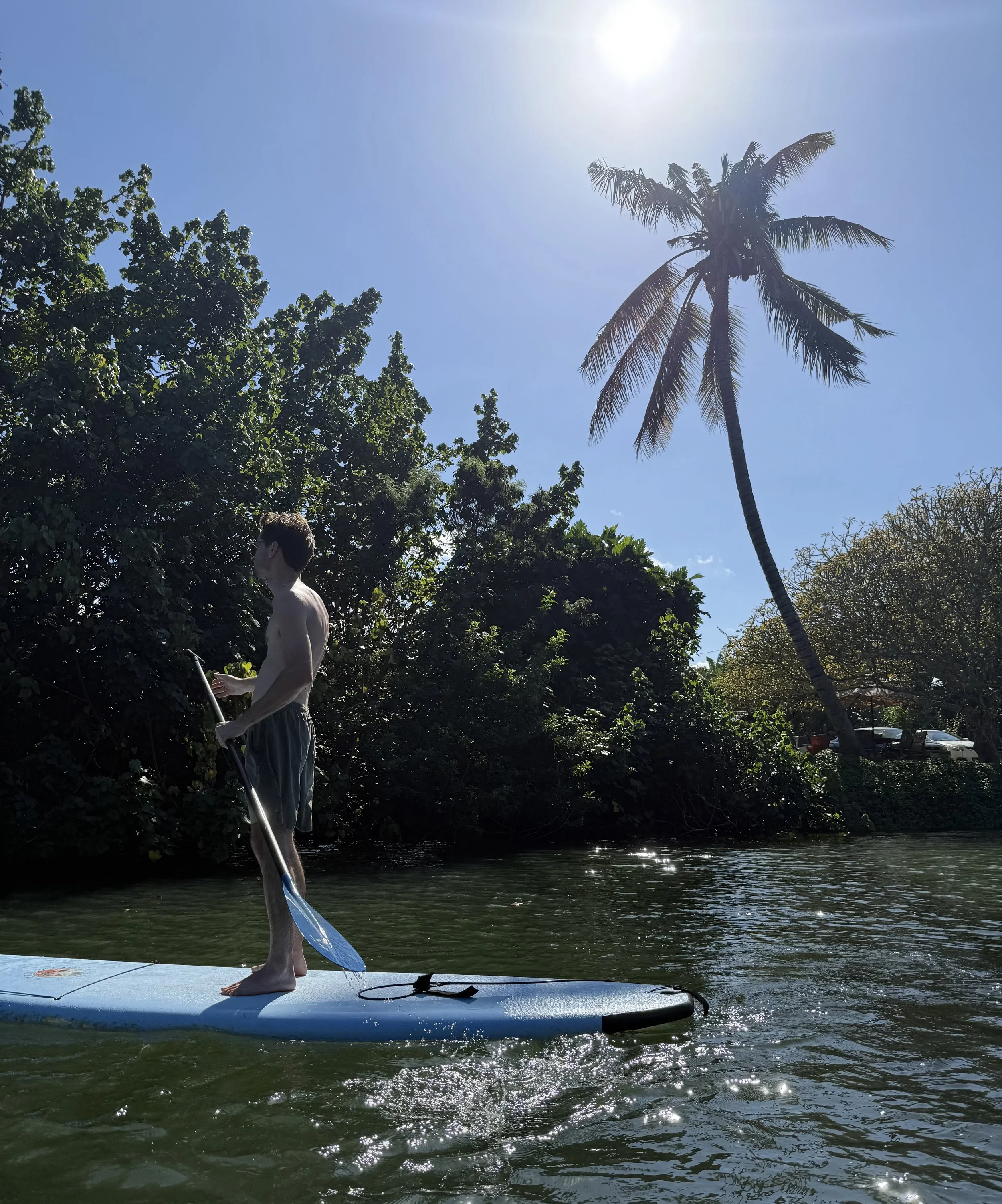 Kayak with the Green Turtles in Haleiwa!