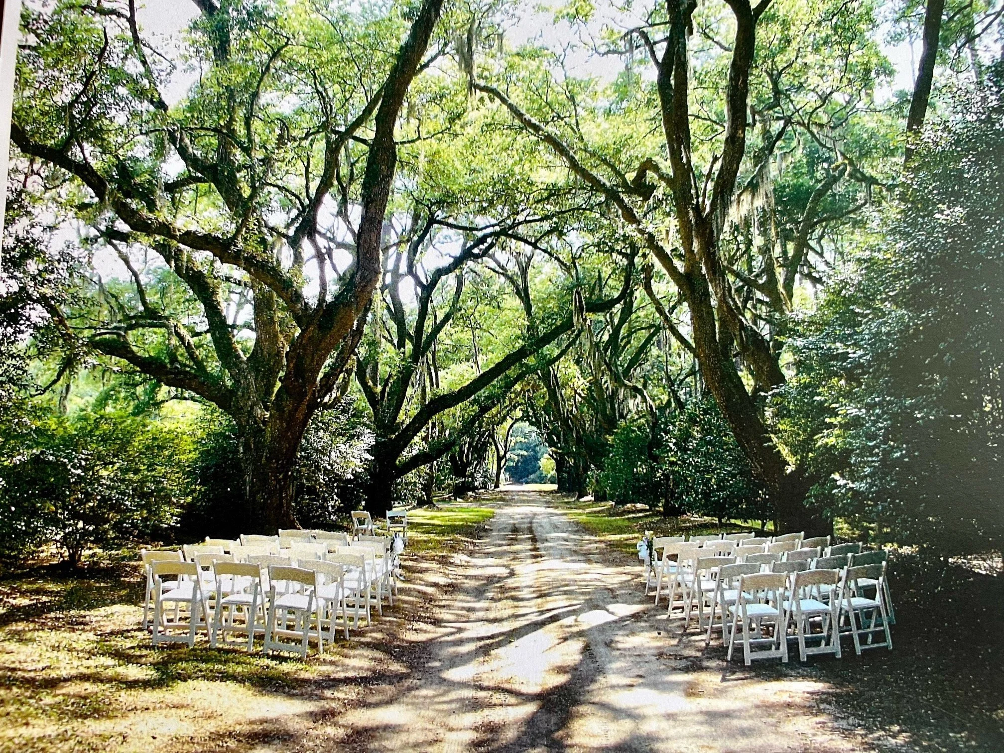 Wedding under the oaks.jpeg