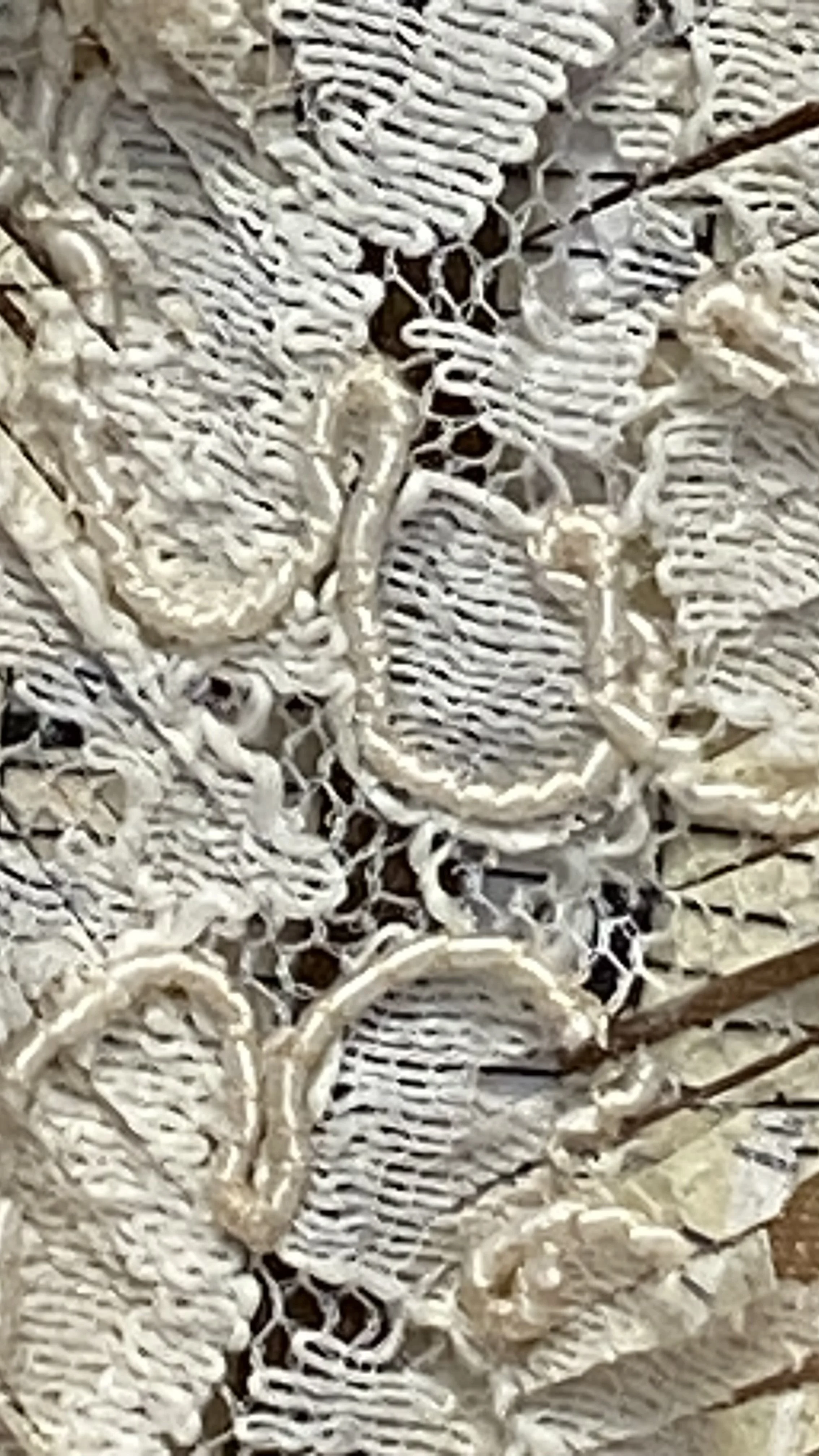 IMG_0670.jpeg
