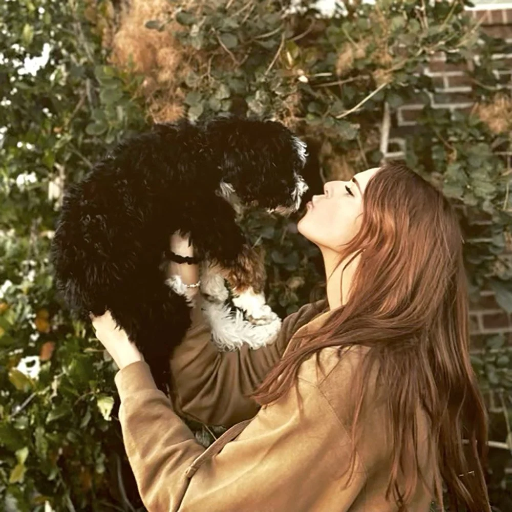 new-parsley copy.jpg