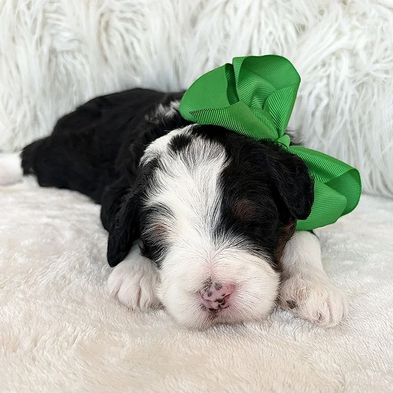 George 3weeks copy.jpg