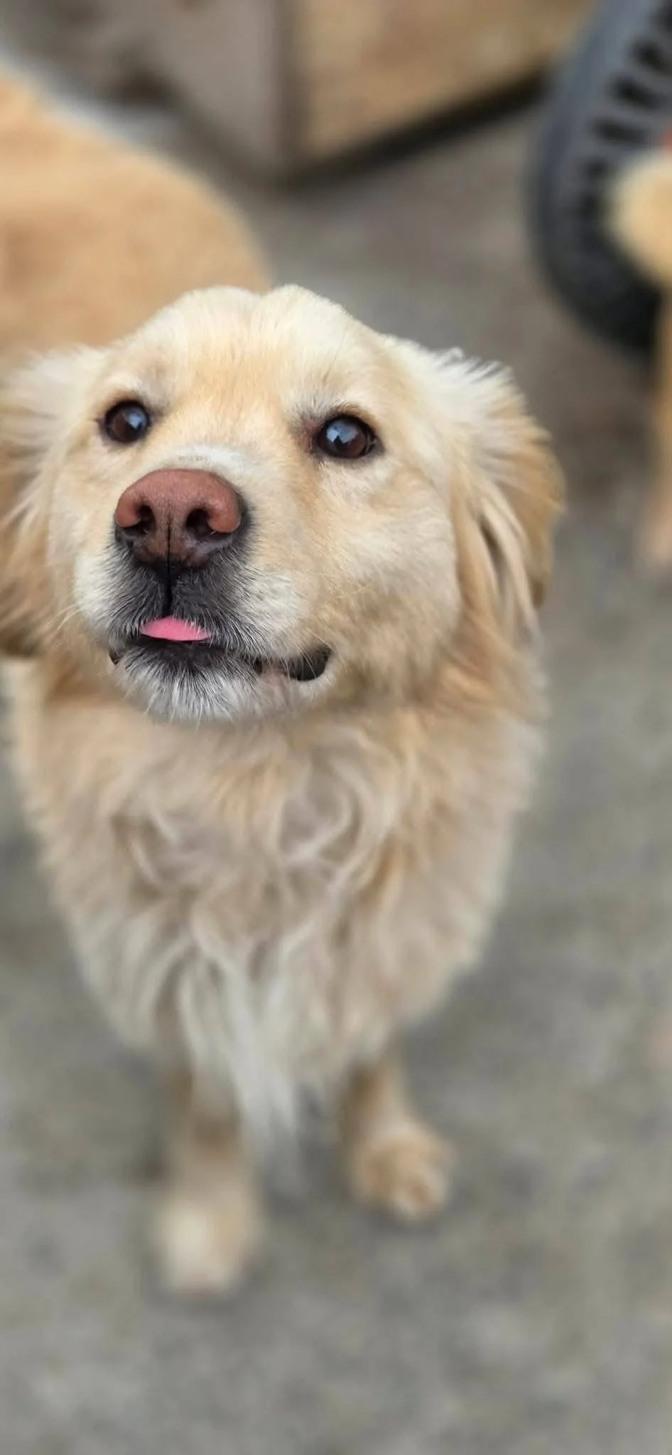 Zeus