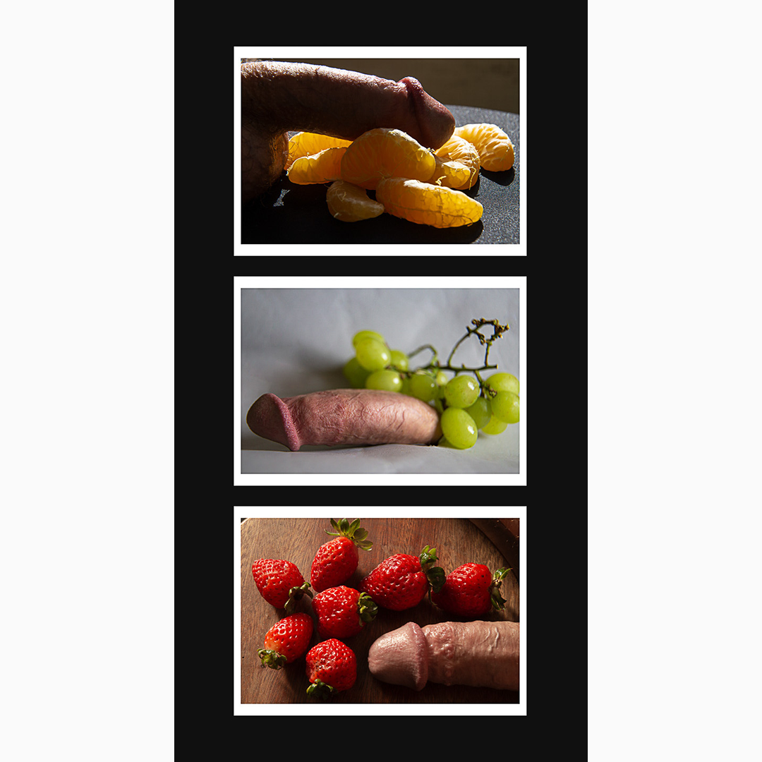 Frutas-Silvestres-triptico - Jorge Hynd.png