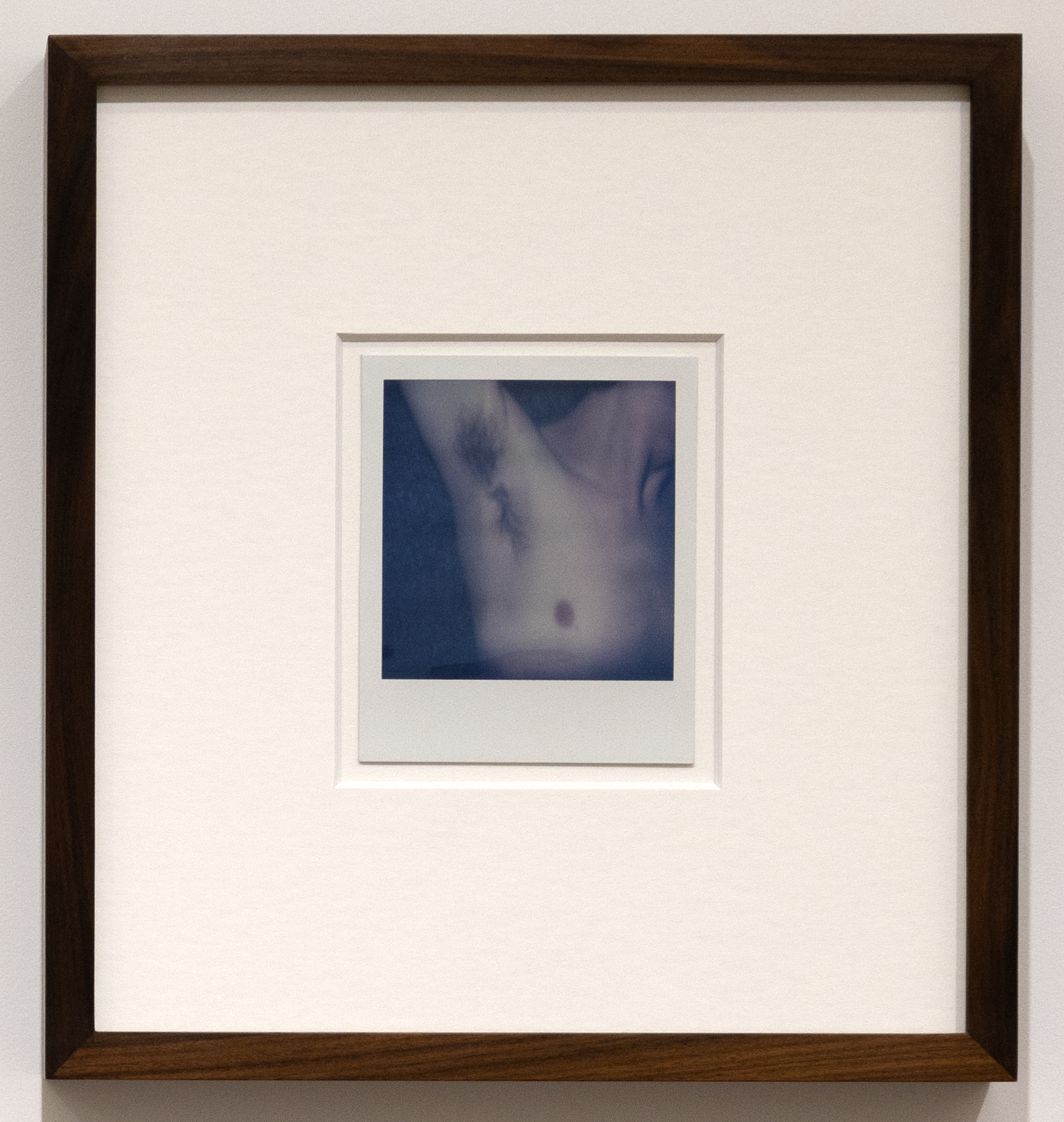 Paulo Cibella - Armpit.png