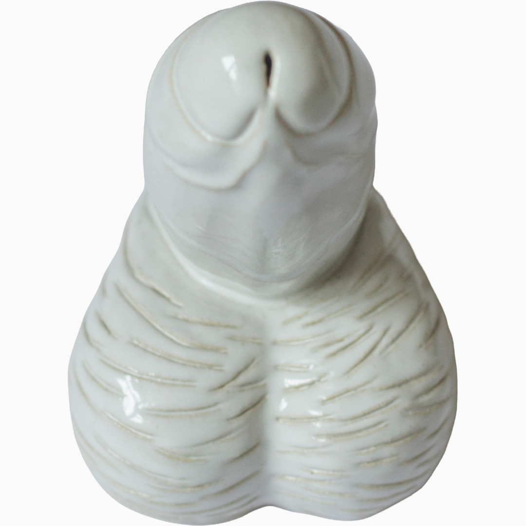 Jorge Bortoli7.png